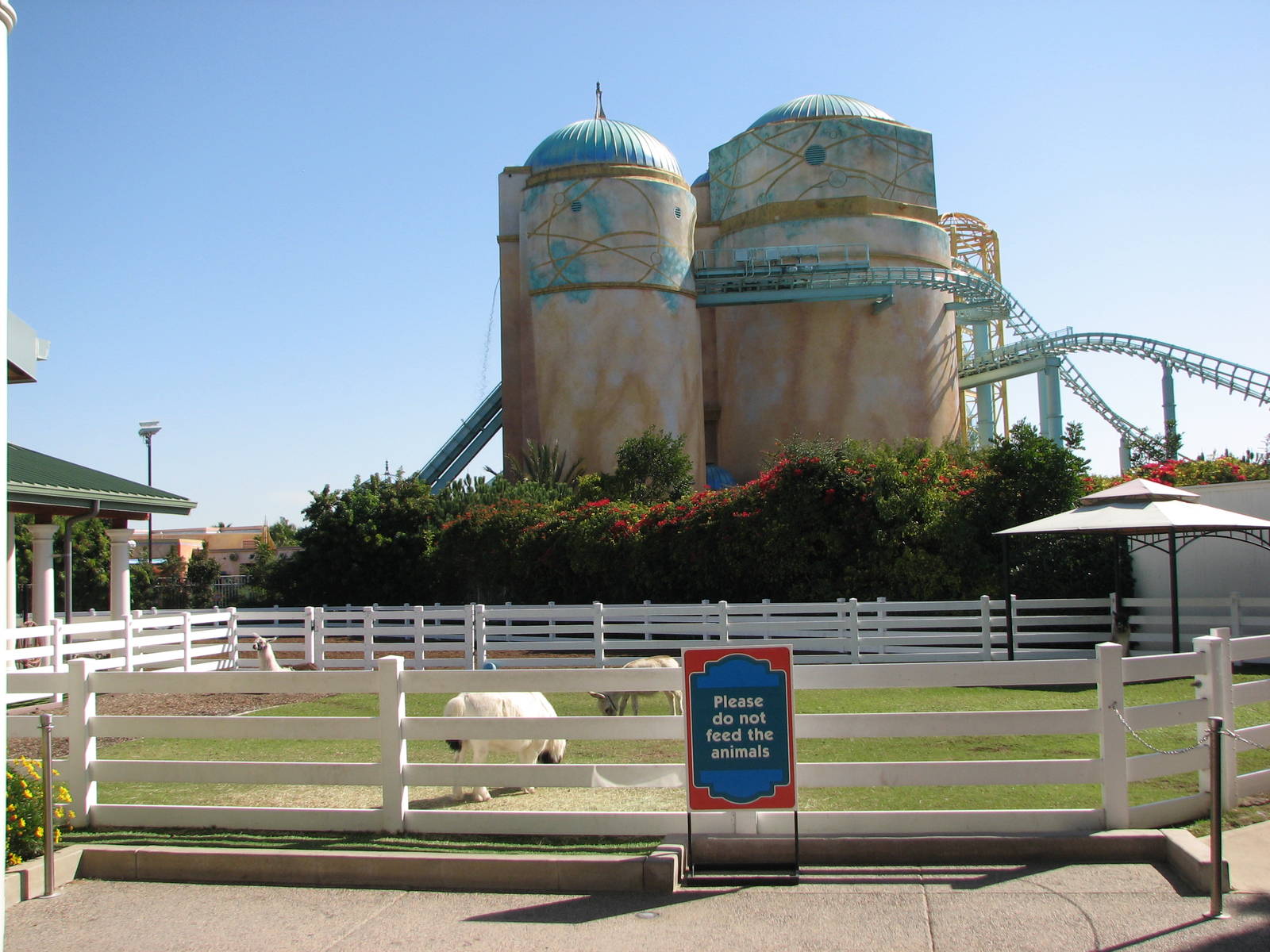 Journey to Atlantis and Animal Connections