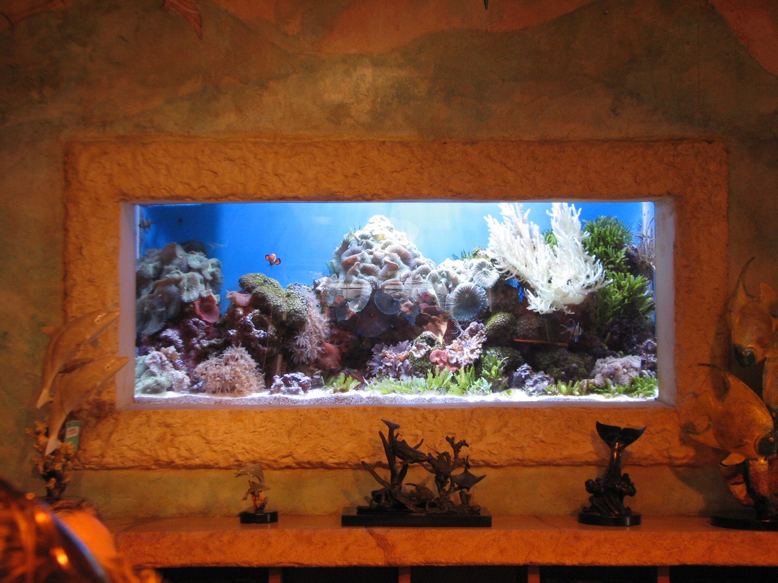 Journey To Atlantis - Golden Seahorse Shop Interior - Small Aquarium Tank B