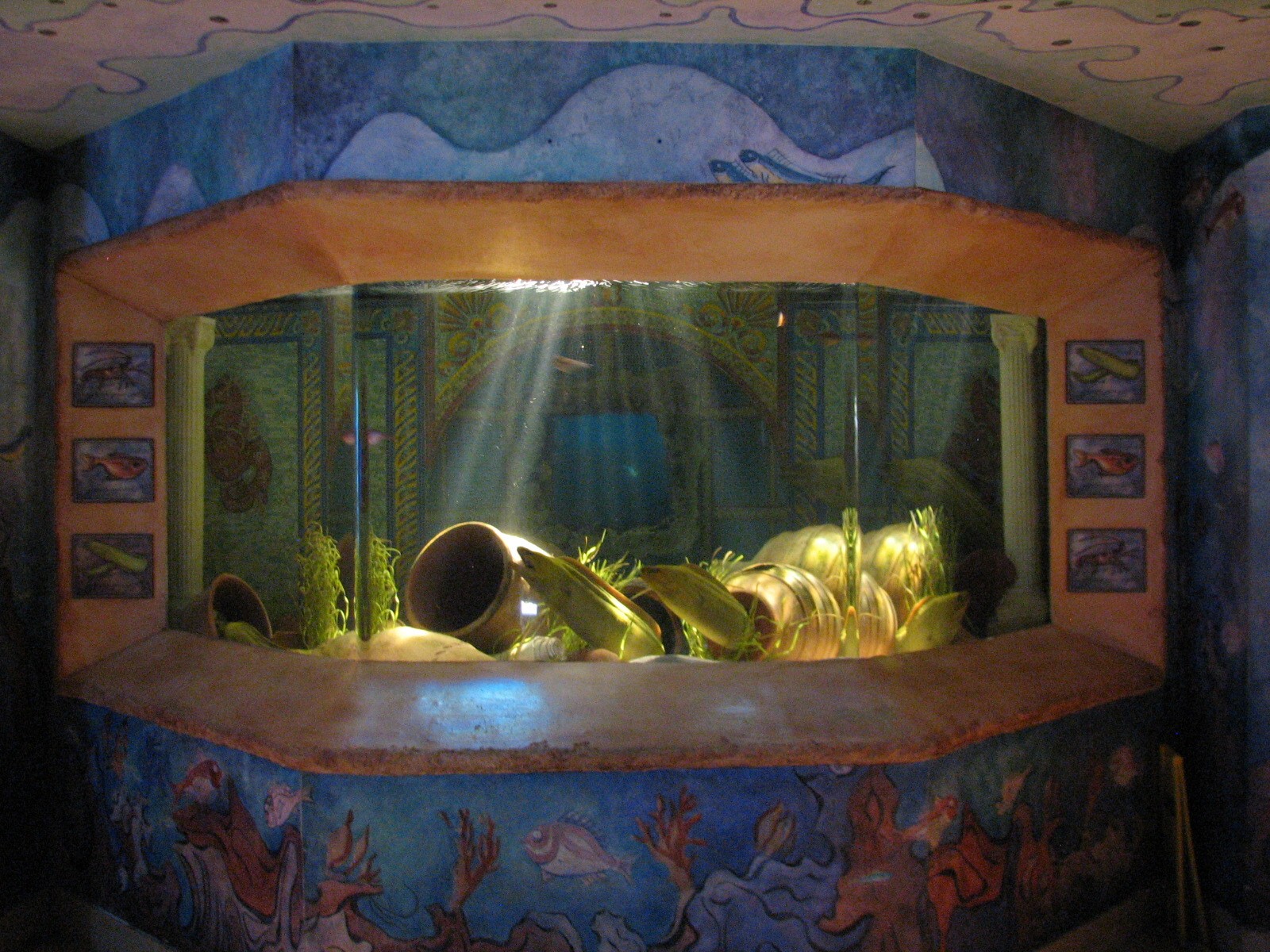 Journey To Atlantis - Jewels of the Sea Aquarium - Green Moray, Caribbean S