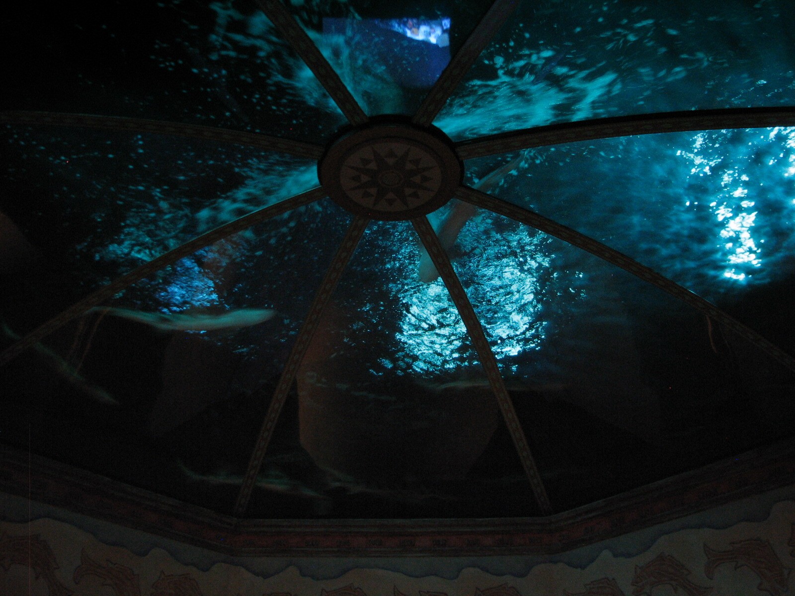 Journey To Atlantis - Jewels of the Sea Aquarium - Overhead Tank