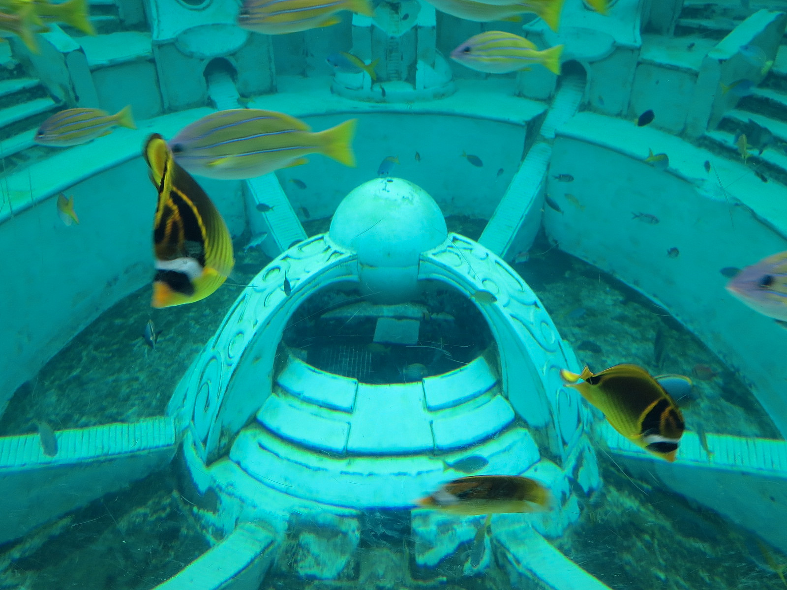 Journey To Atlantis - Window To The Sea