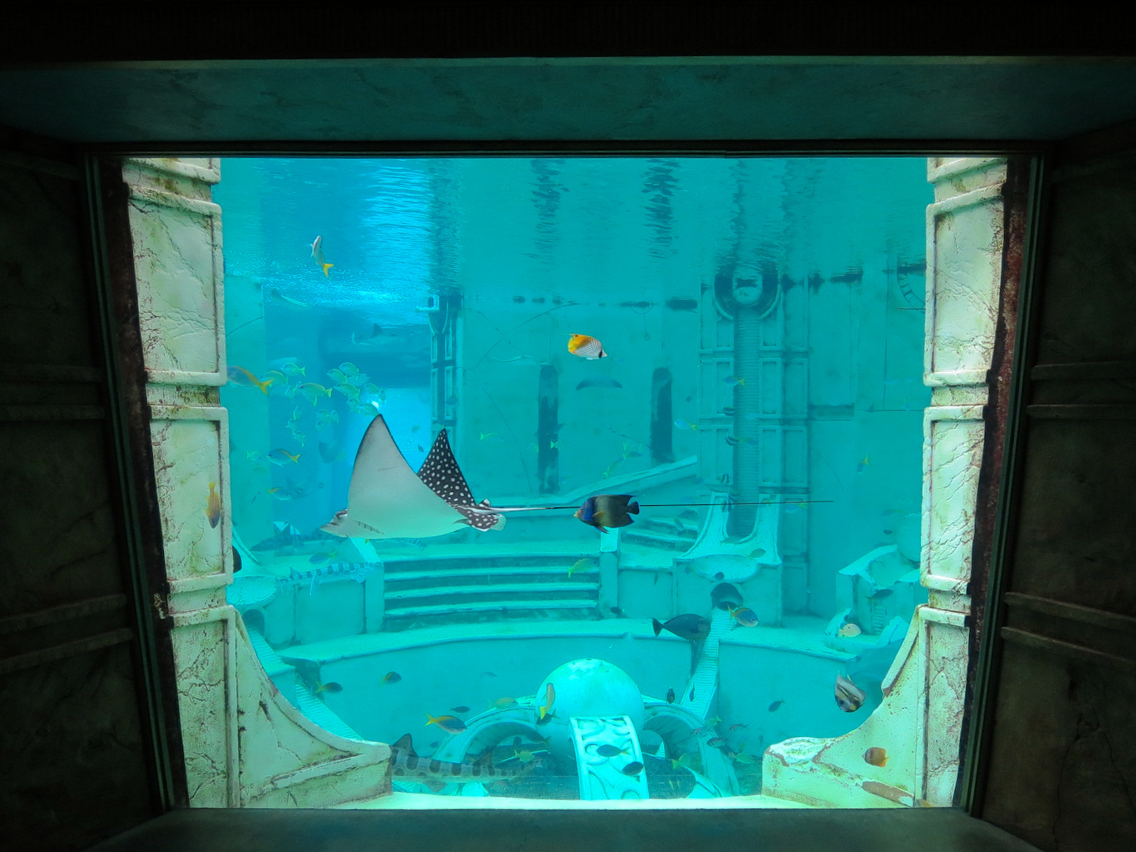 Journey To Atlantis - Window To The Sea