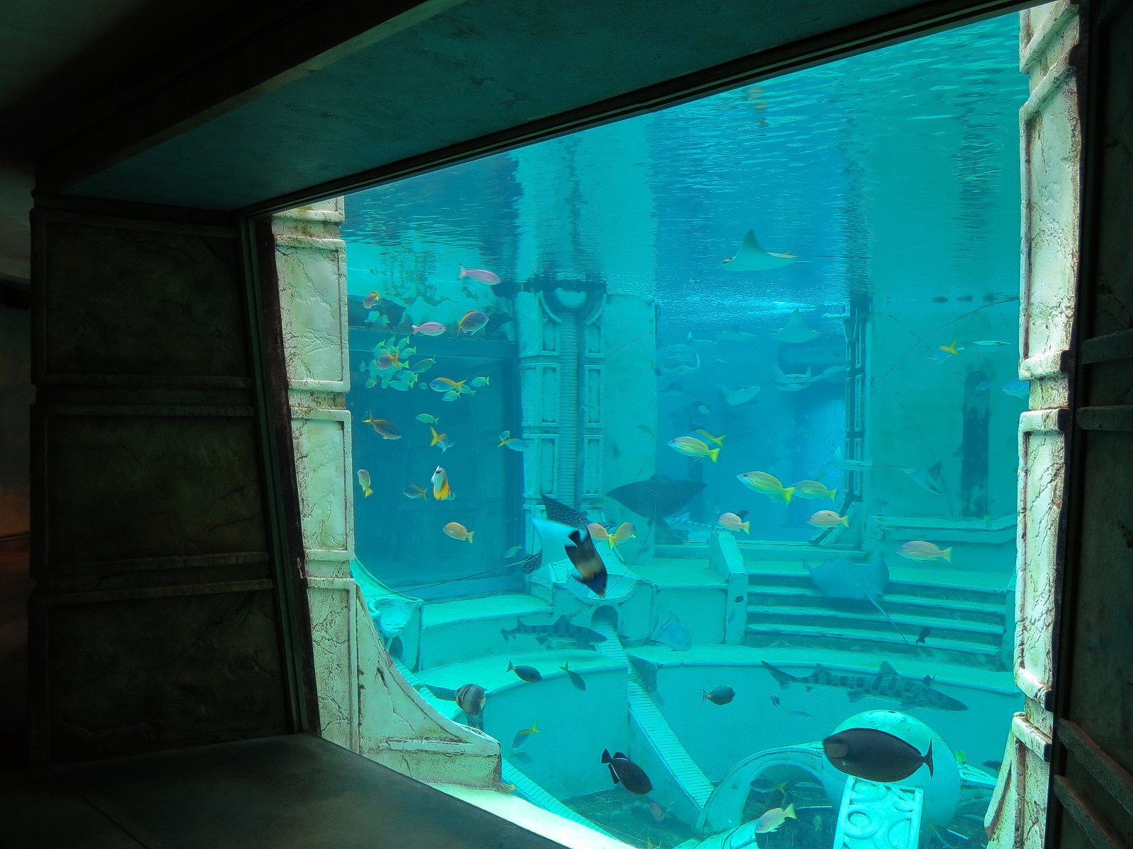 Journey To Atlantis - Window To The Sea