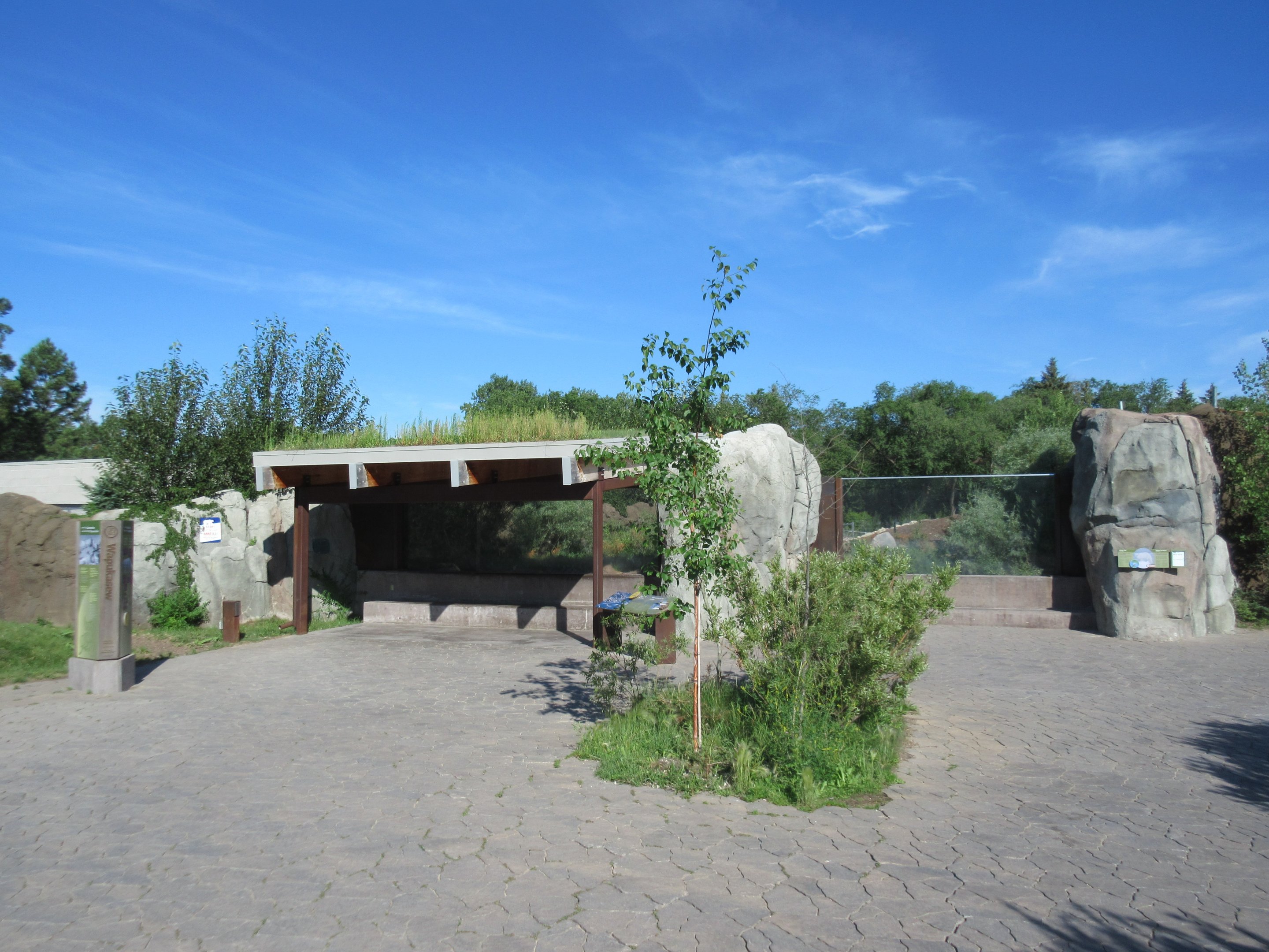 Journey to Churchill - Arctic Fox Exhibit Viewing Plaza