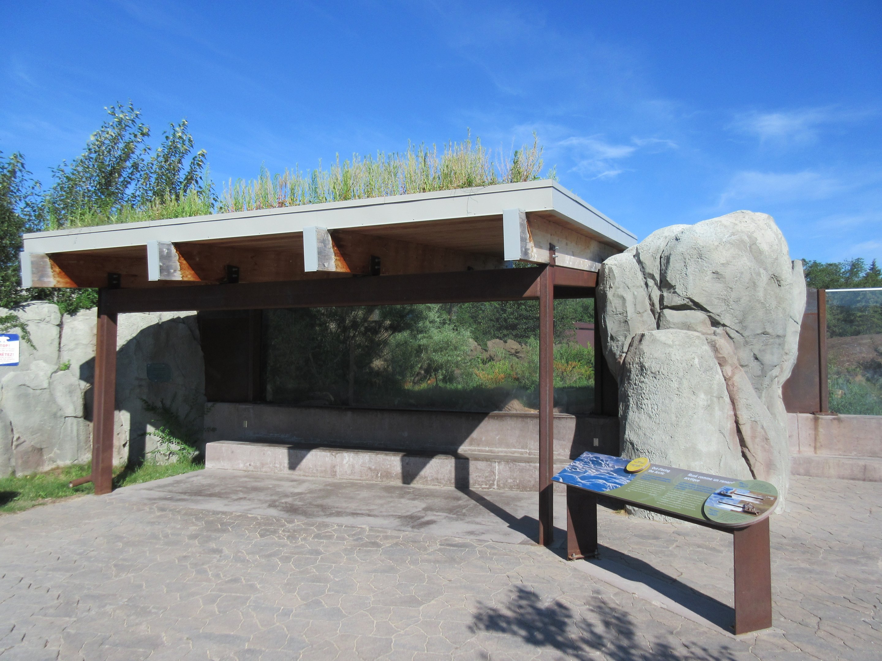 Journey to Churchill - Arctic Fox Exhibit