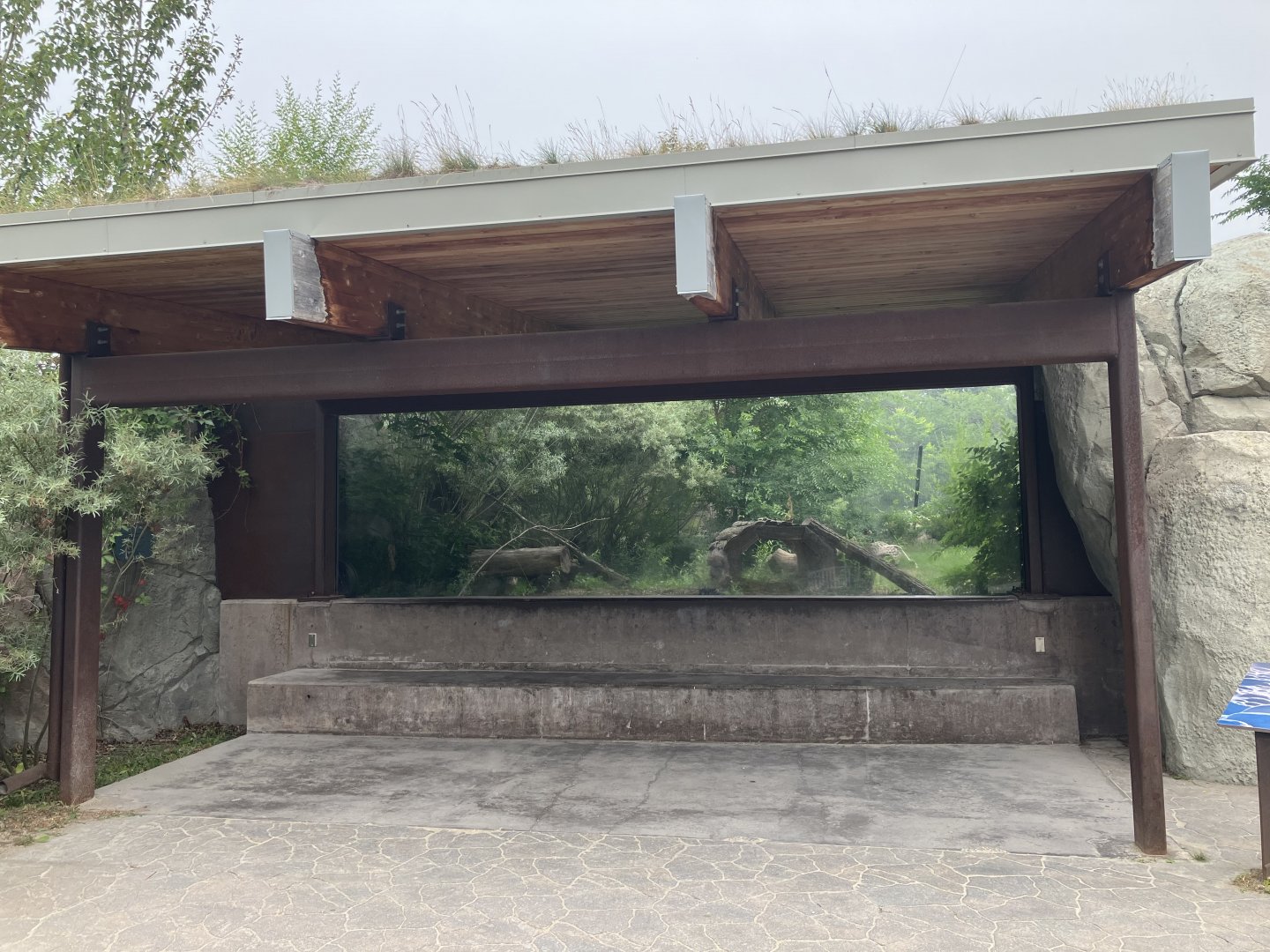 Journey to Churchill - Arctic Fox Exhibit