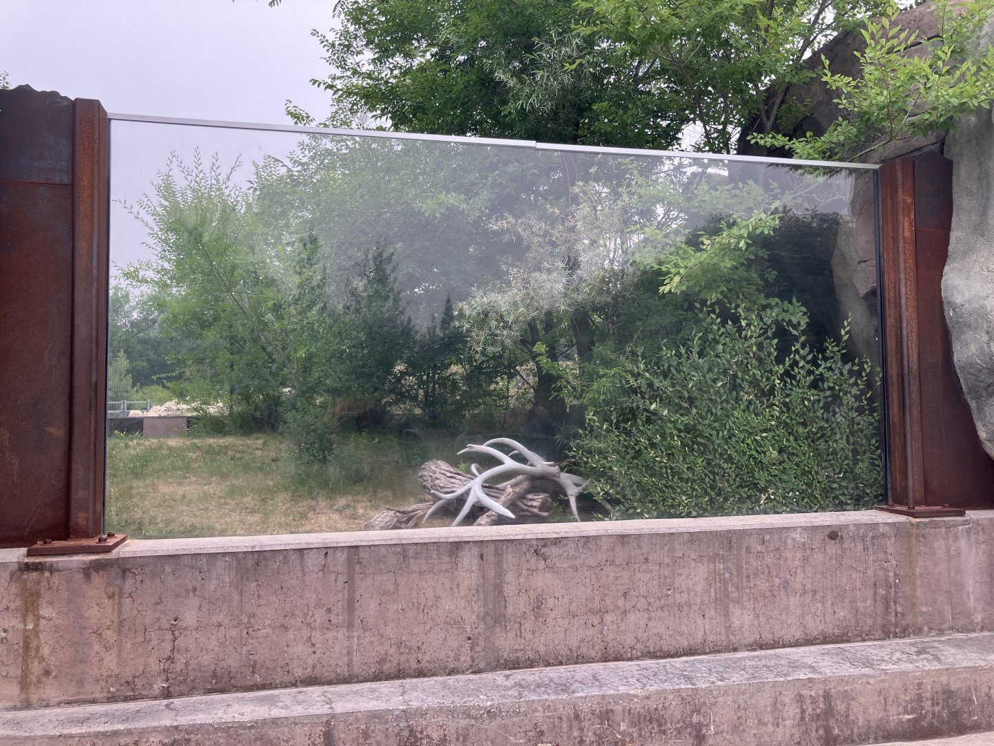 Journey to Churchill - Arctic Fox Exhibit
