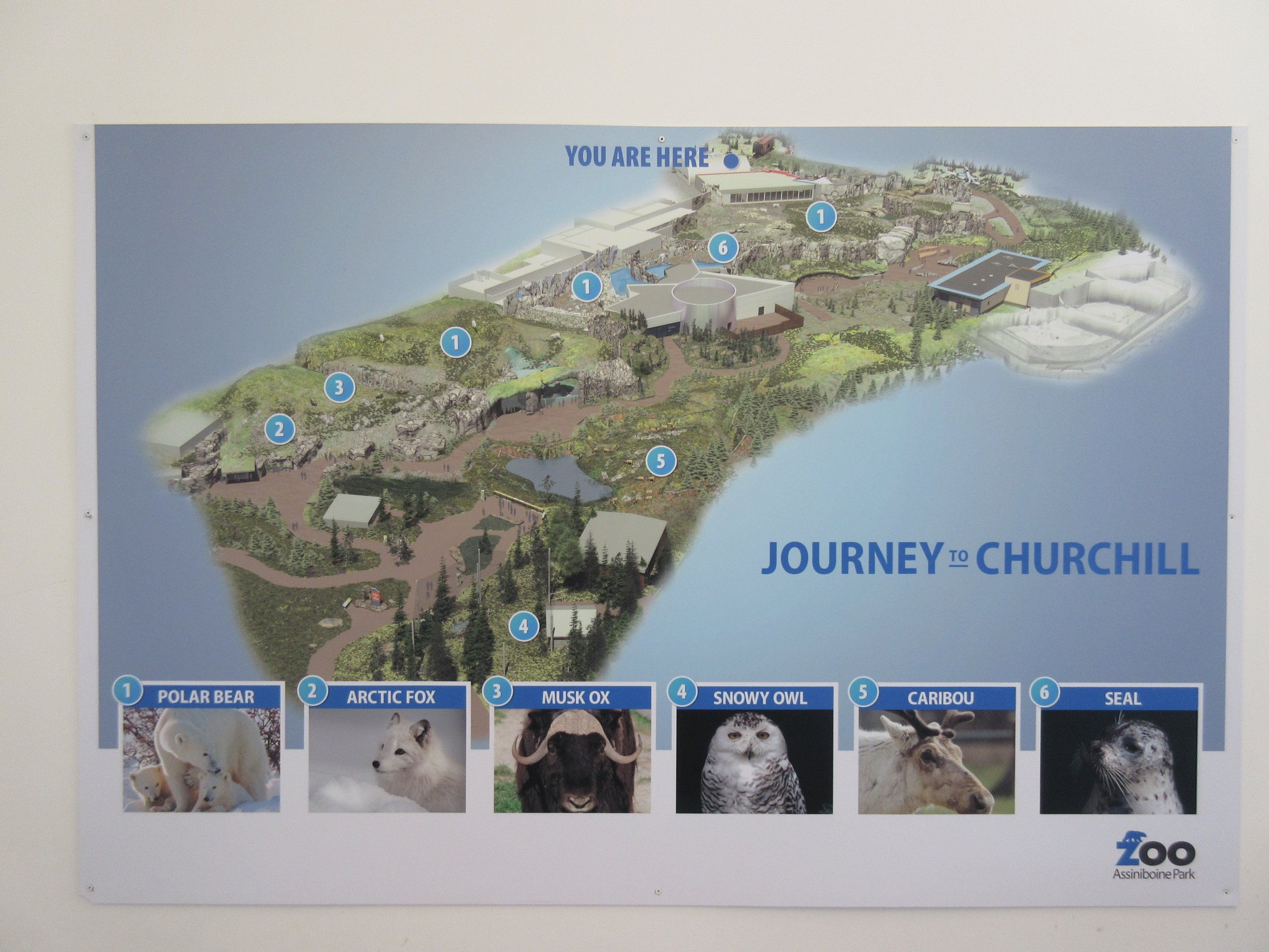 Journey to Churchill - Beautiful Map