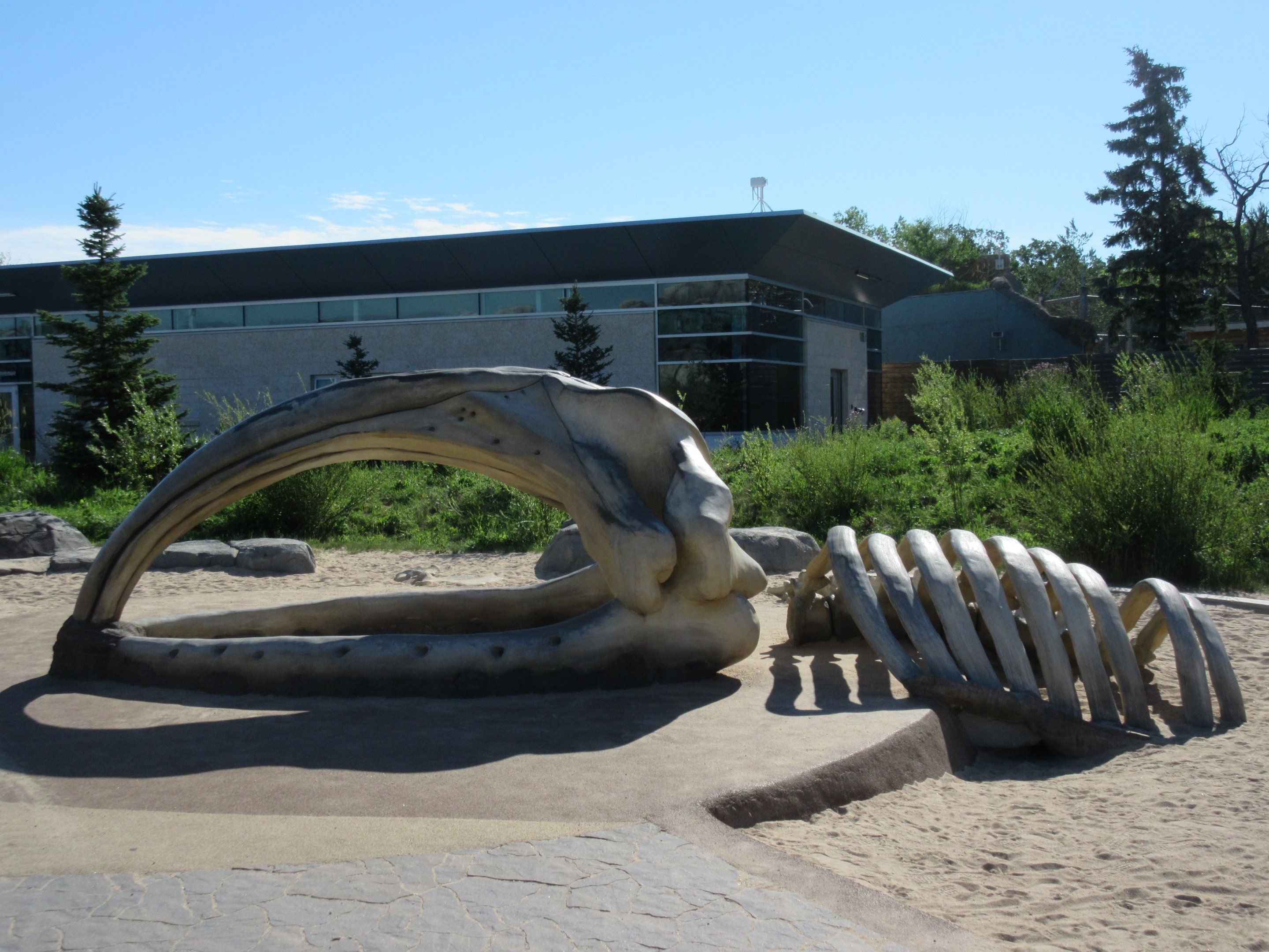 Journey to Churchill - Bowhead Whale Sandbox