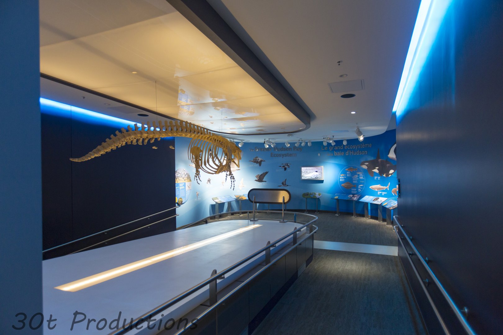 Journey to Churchill - Educational Graphics