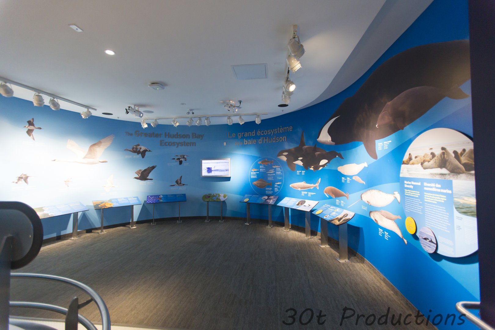 Journey to Churchill - Educational Graphics