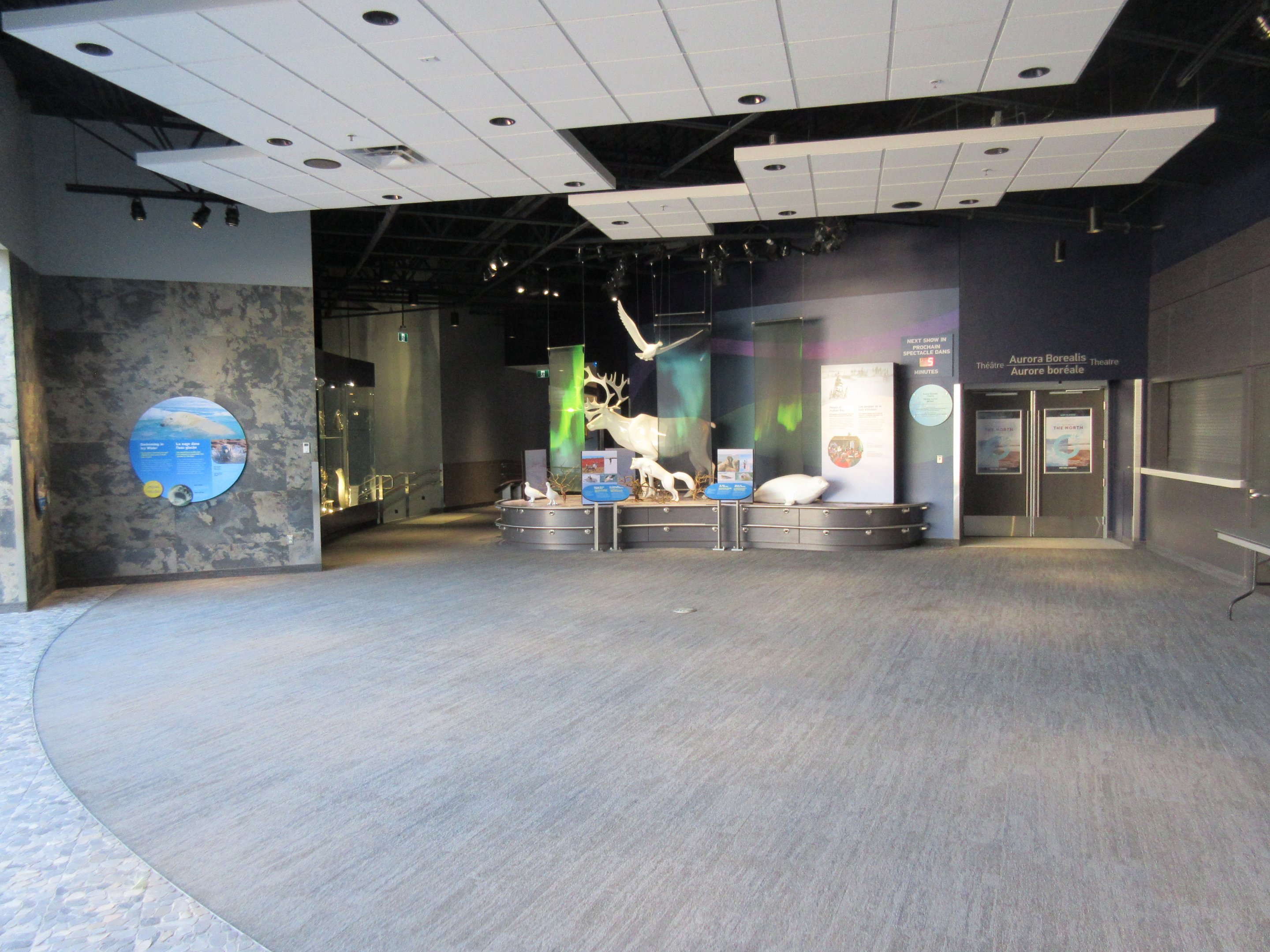 Journey to Churchill - Gateway to the Arctic Viewing Area