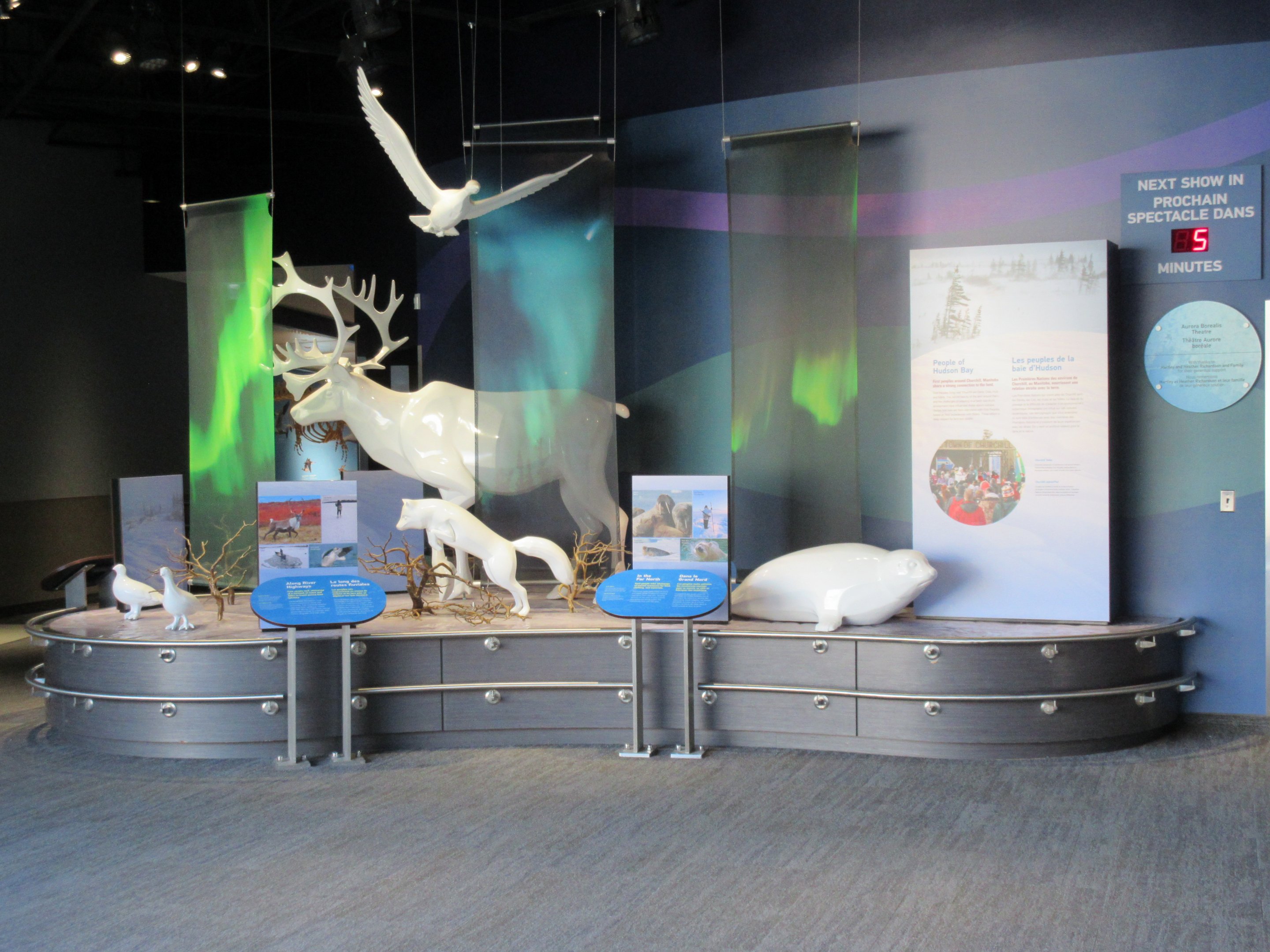 Journey to Churchill - Gateway to the Arctic