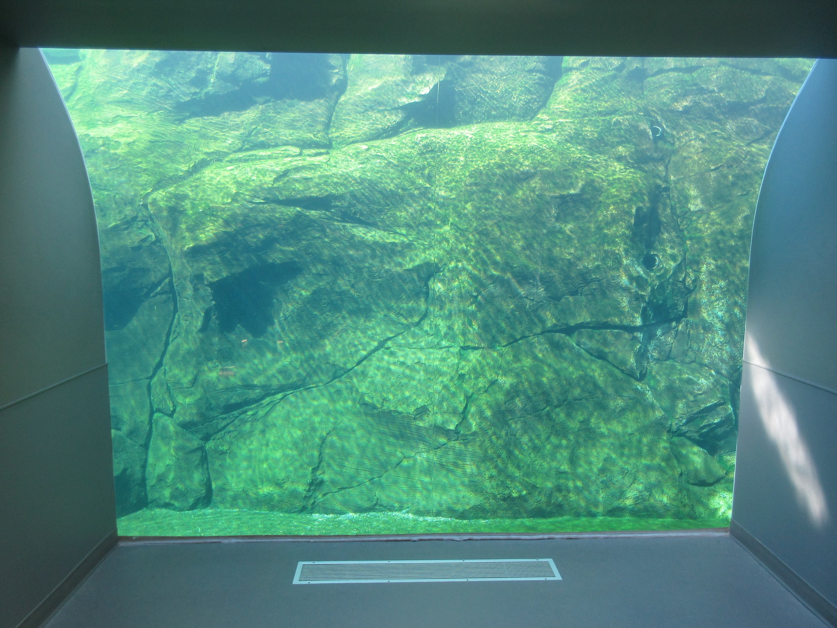 Journey to Churchill - Harbour Seal Exhibit