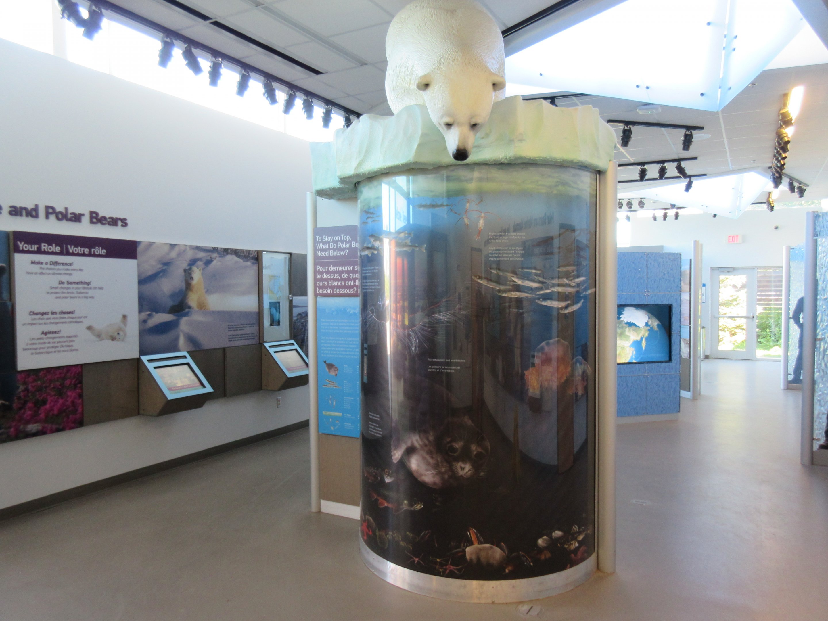 Journey to Churchill - International Polar Bear Conservation Centre