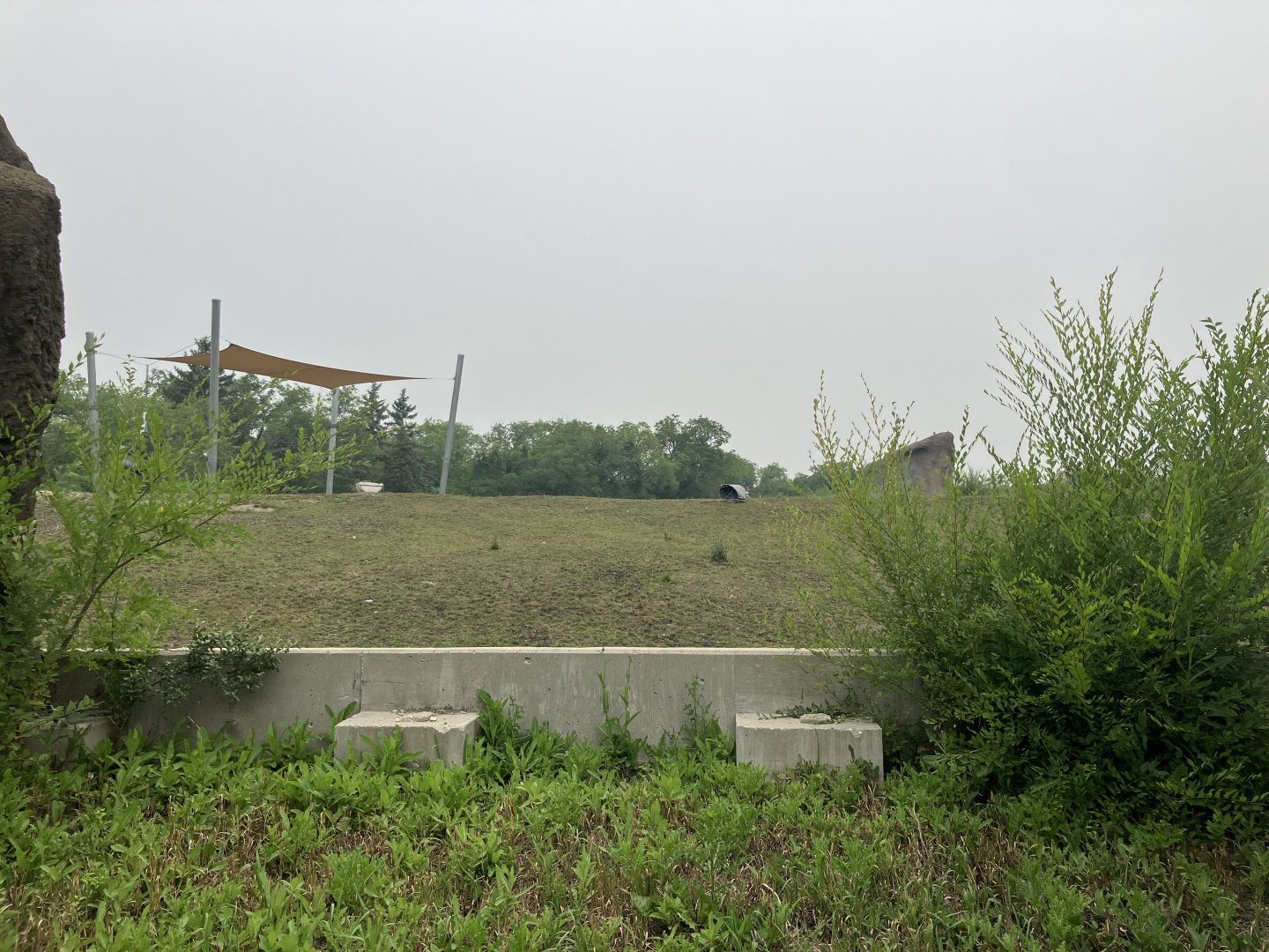 Journey to Churchill - Musk Oxen Exhibit