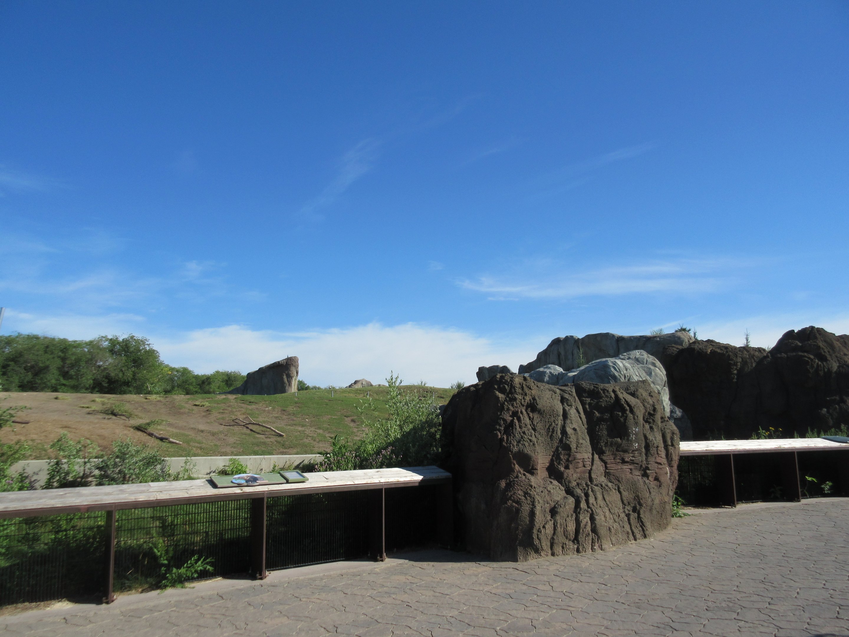 Journey to Churchill - Muskox Exhibit Viewing Area