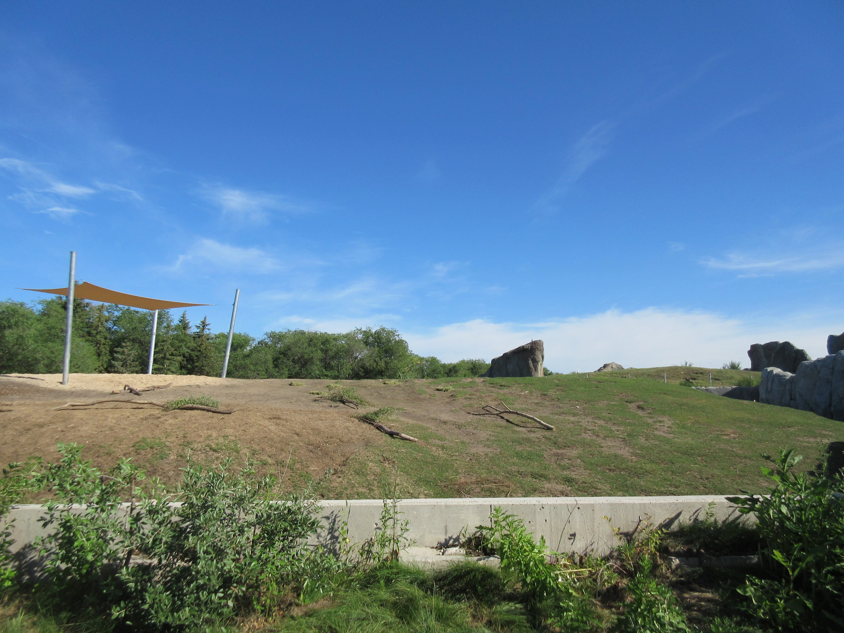 Journey to Churchill - Muskox Exhibit