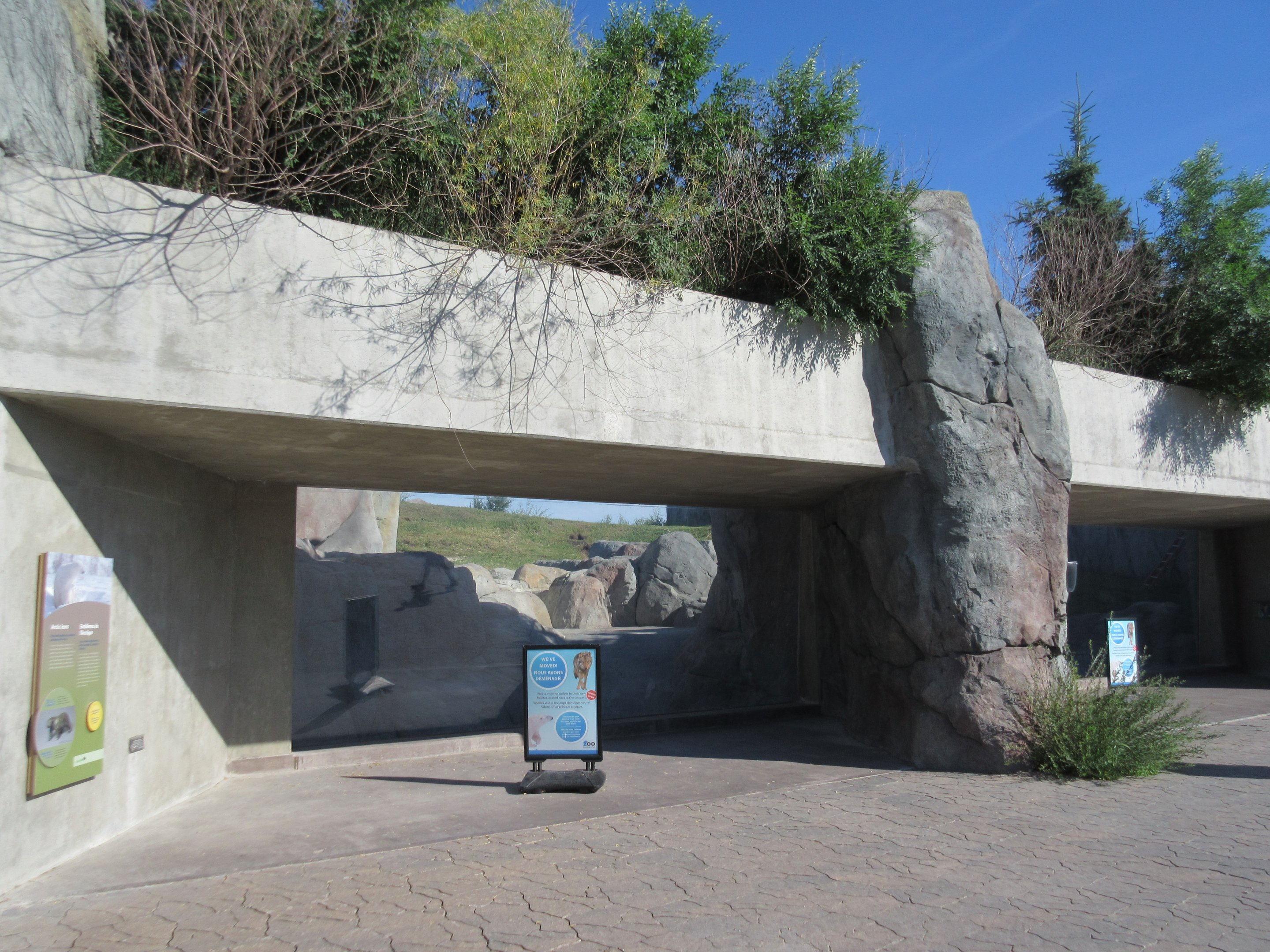 Journey to Churchill - Polar Bear Exhibit #1
