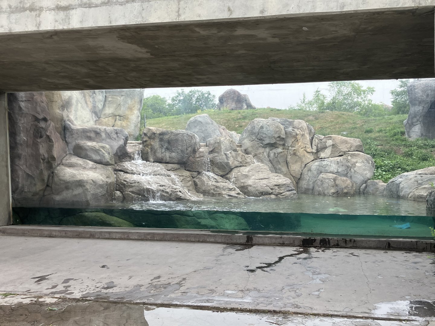 Journey to Churchill - Polar Bear Exhibit #1