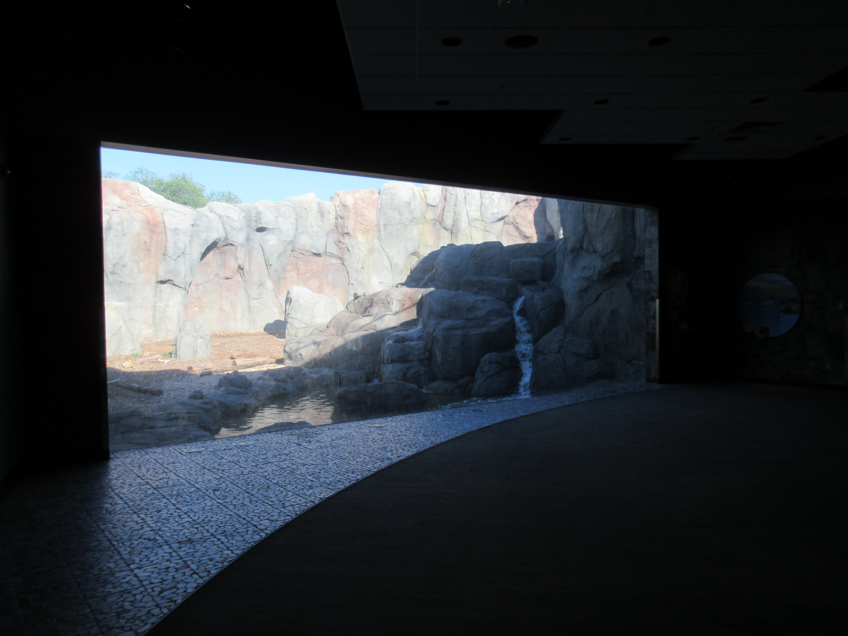 Journey to Churchill - Polar Bear Exhibit #2 Viewing Area