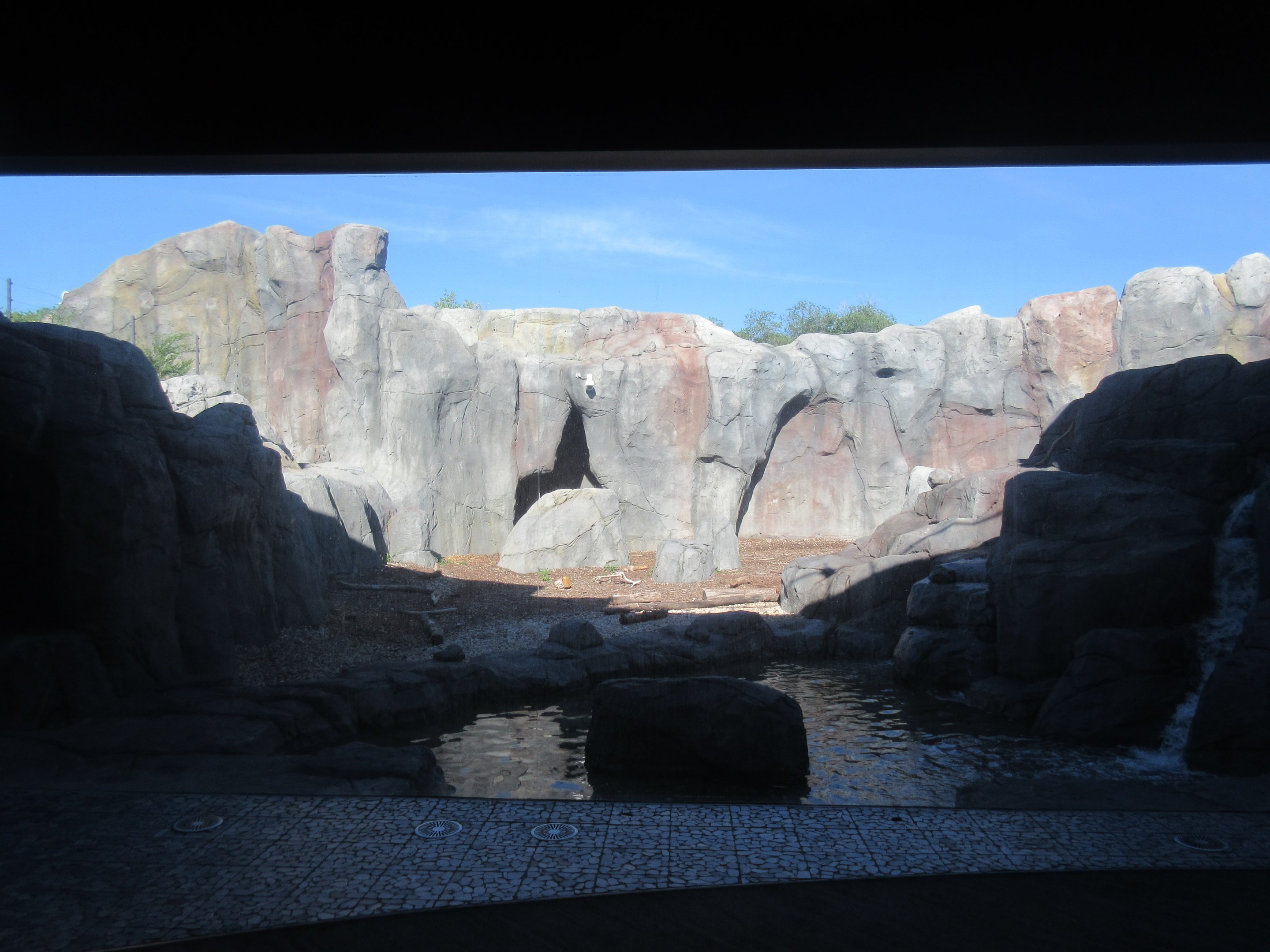 Journey to Churchill - Polar Bear Exhibit #2