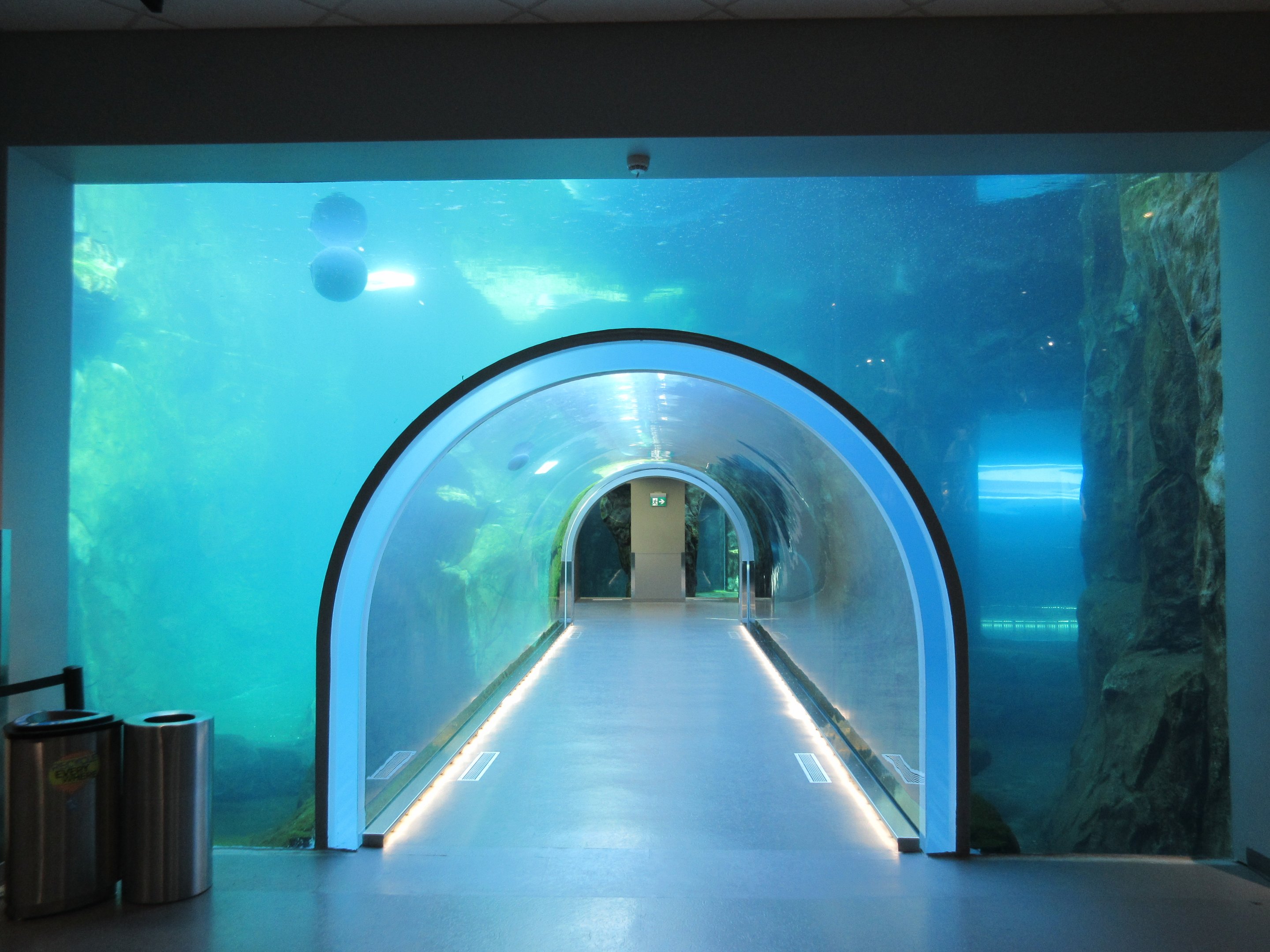 Journey to Churchill - Polar Bear Exhibit #2