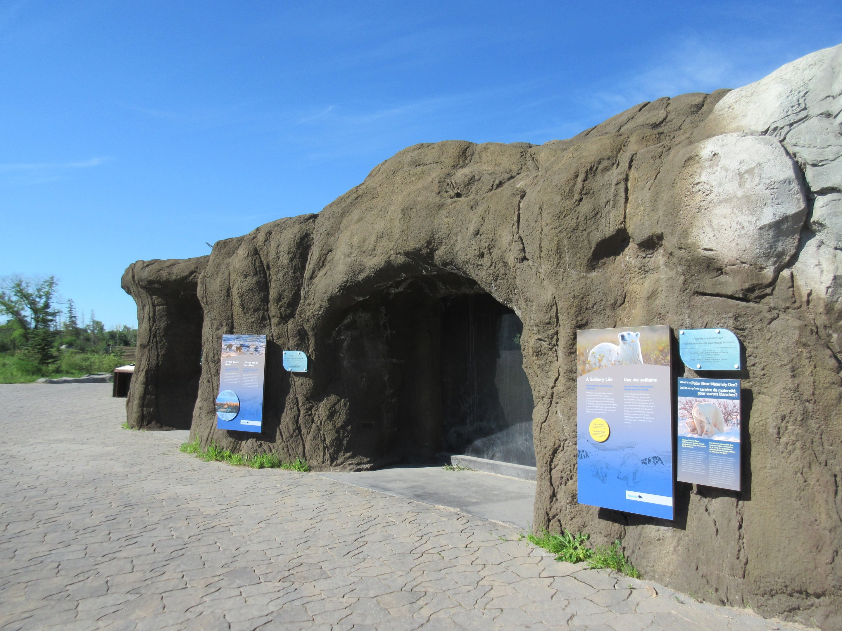 Journey to Churchill - Polar Bear Exhibit #3