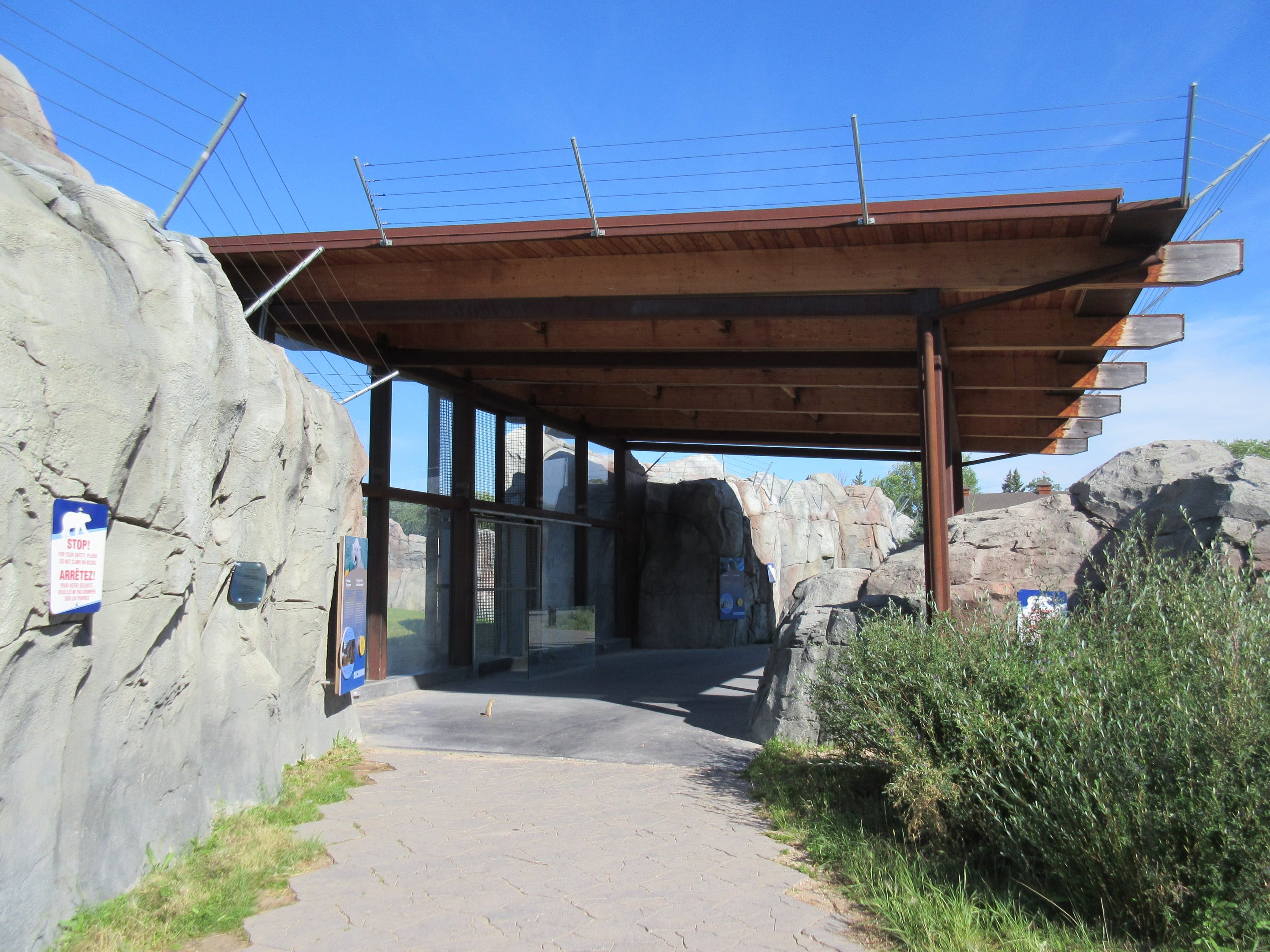 Journey to Churchill - Polar Bear Exhibit #3