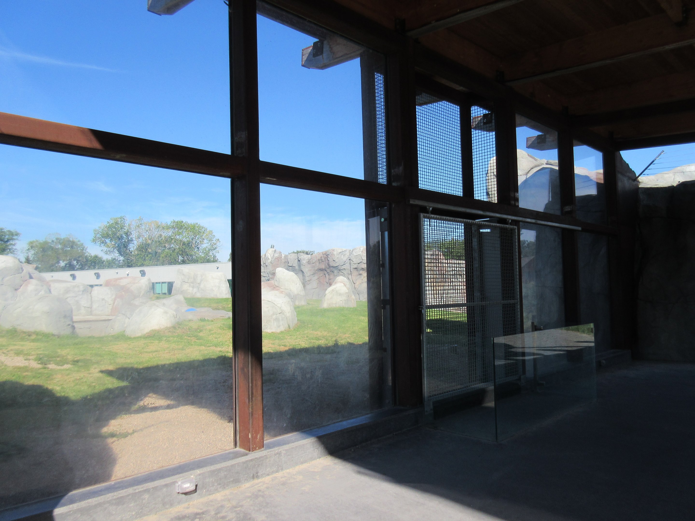 Journey to Churchill - Polar Bear Exhibit #3