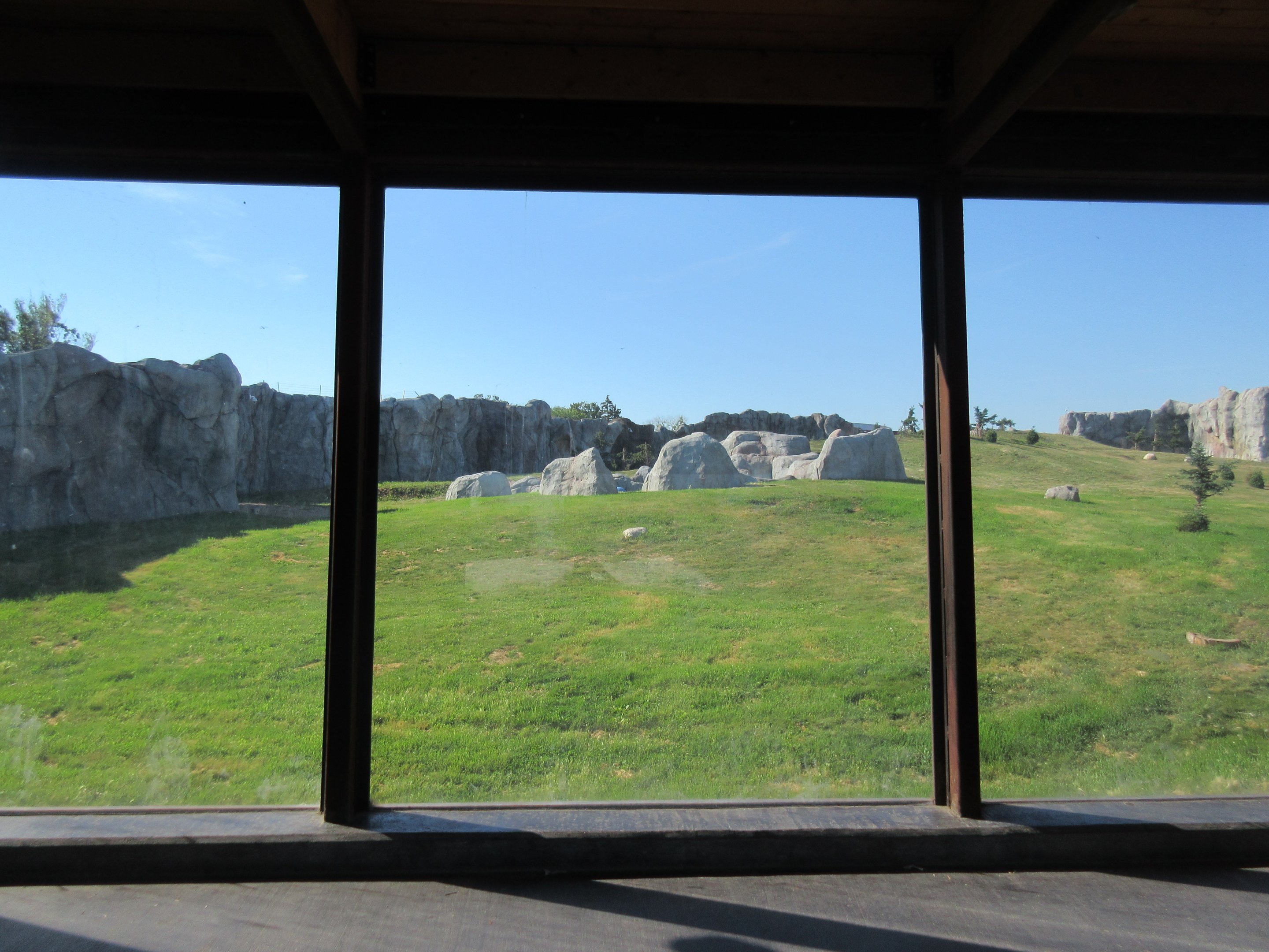 Journey to Churchill - Polar Bear Exhibit #3