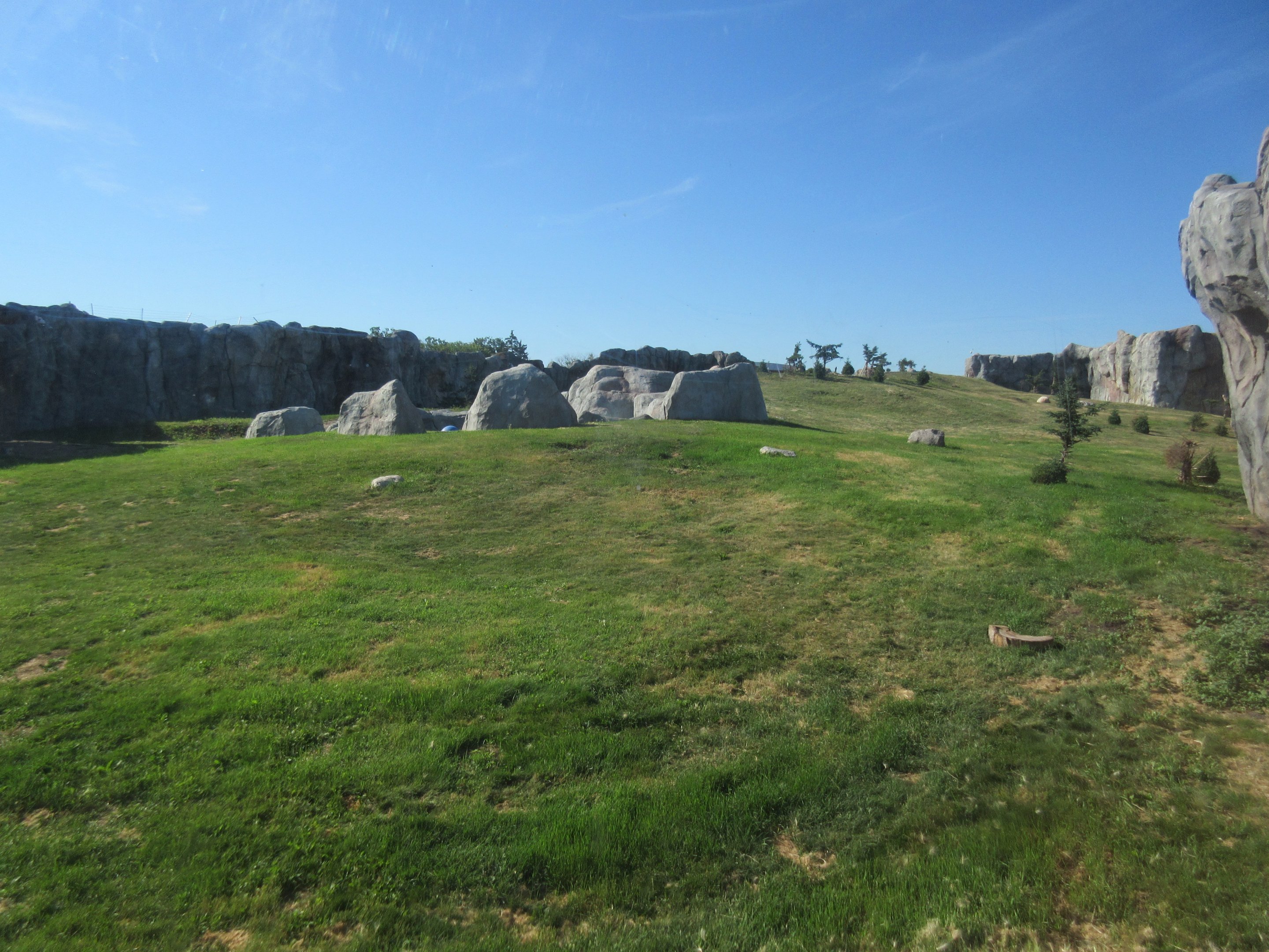 Journey to Churchill - Polar Bear Exhibit #3