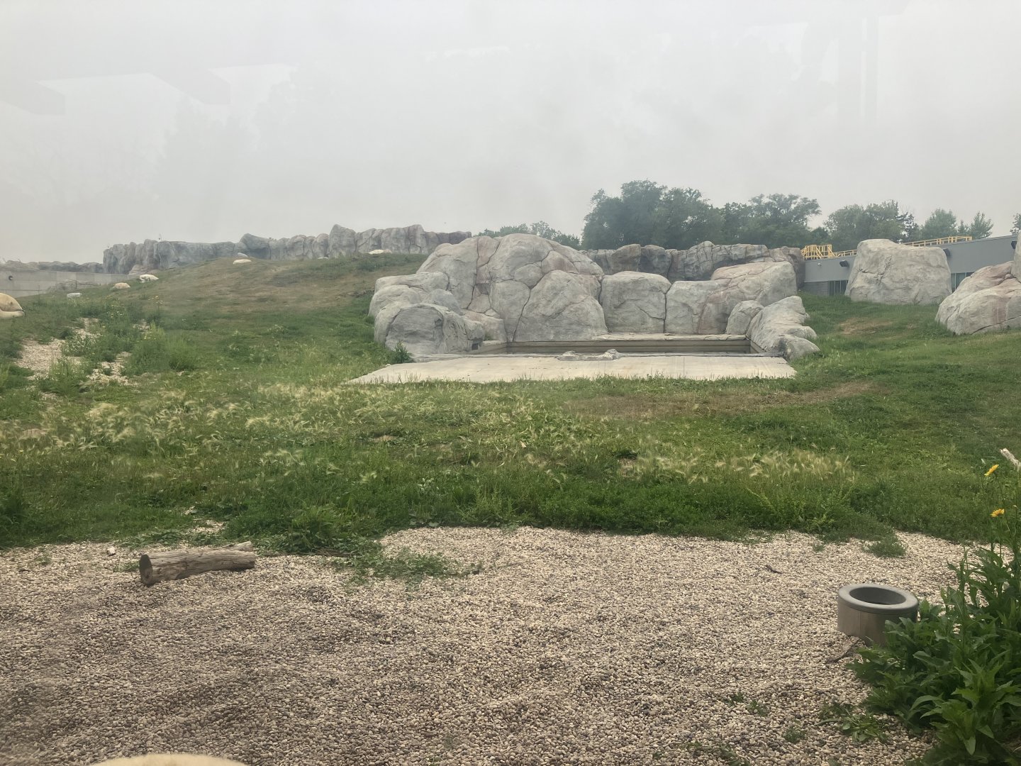 Journey to Churchill - Polar Bear Exhibit #3