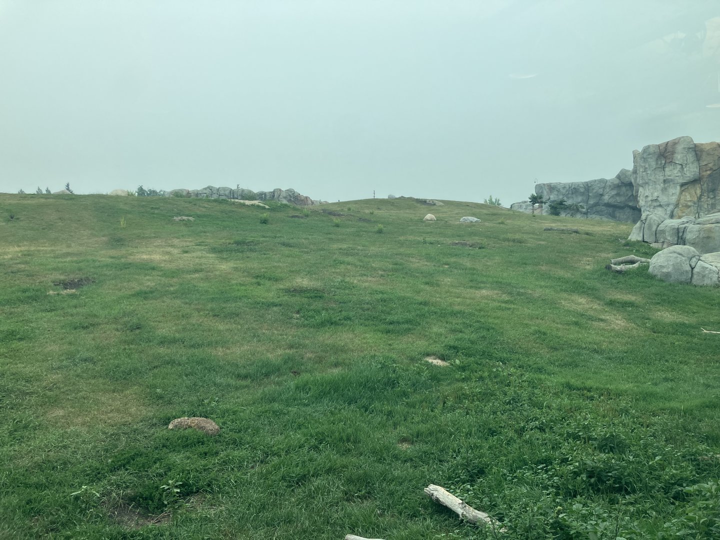 Journey to Churchill - Polar Bear Exhibit #3