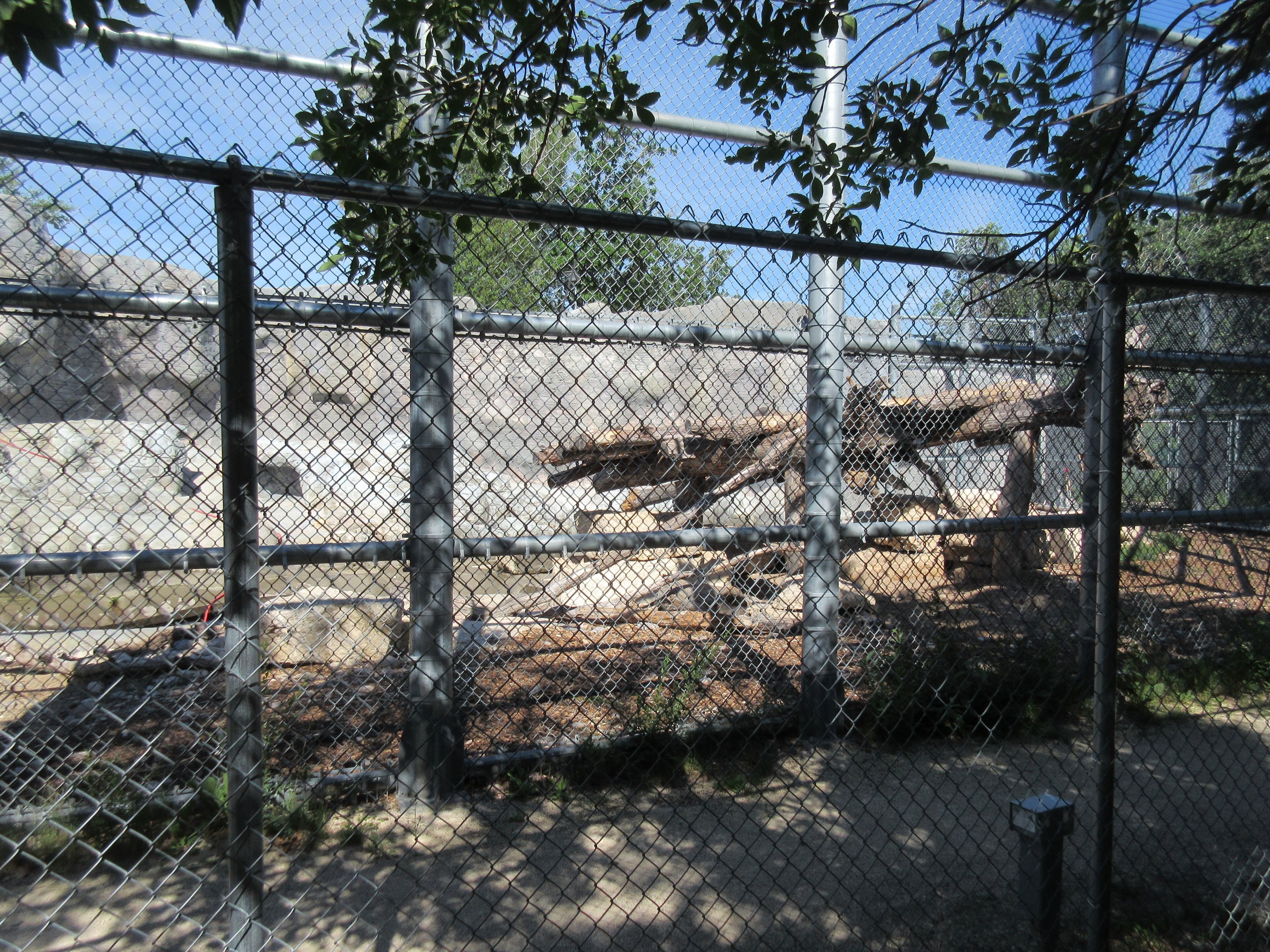 Journey to Churchill - Polar Bear Exhibit #6 (Cub Care Centre)