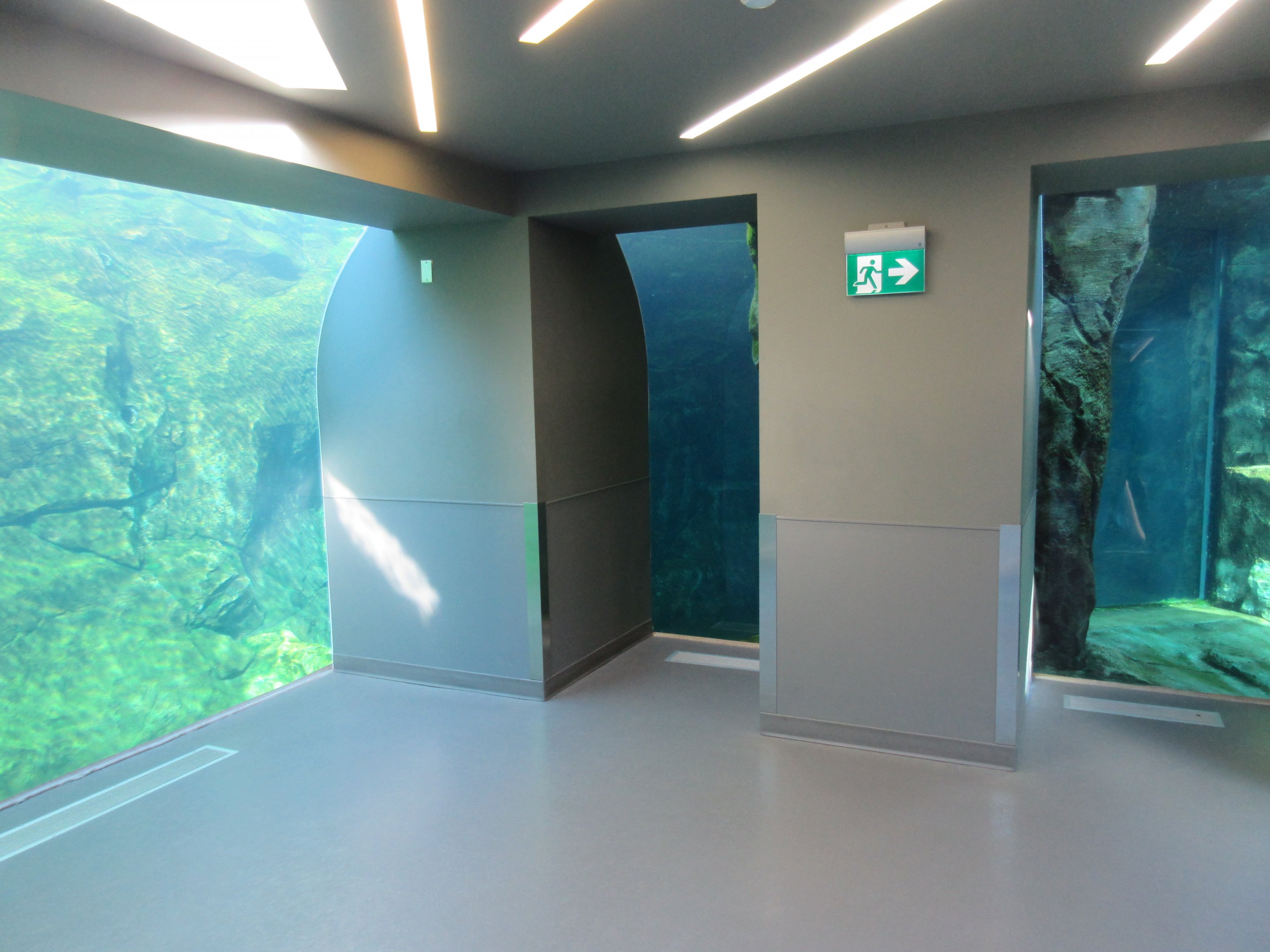 Journey to Churchill - Polar Bear + Harbour Seal Exhibits