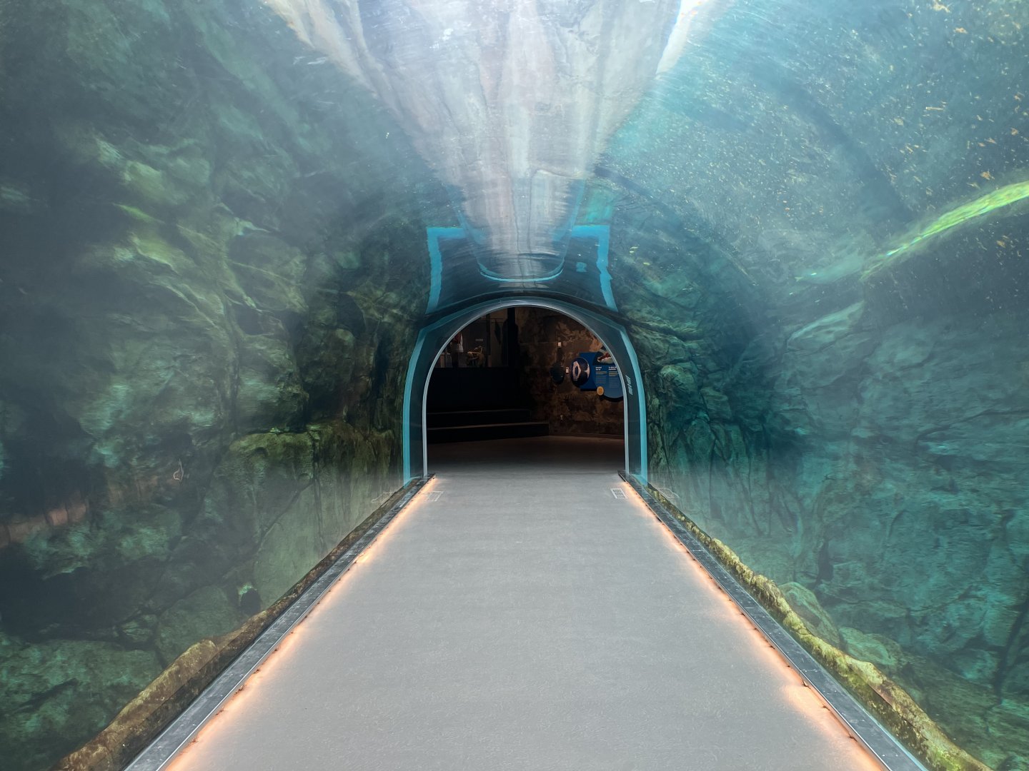 Journey to Churchill - Polar Bear Tunnel