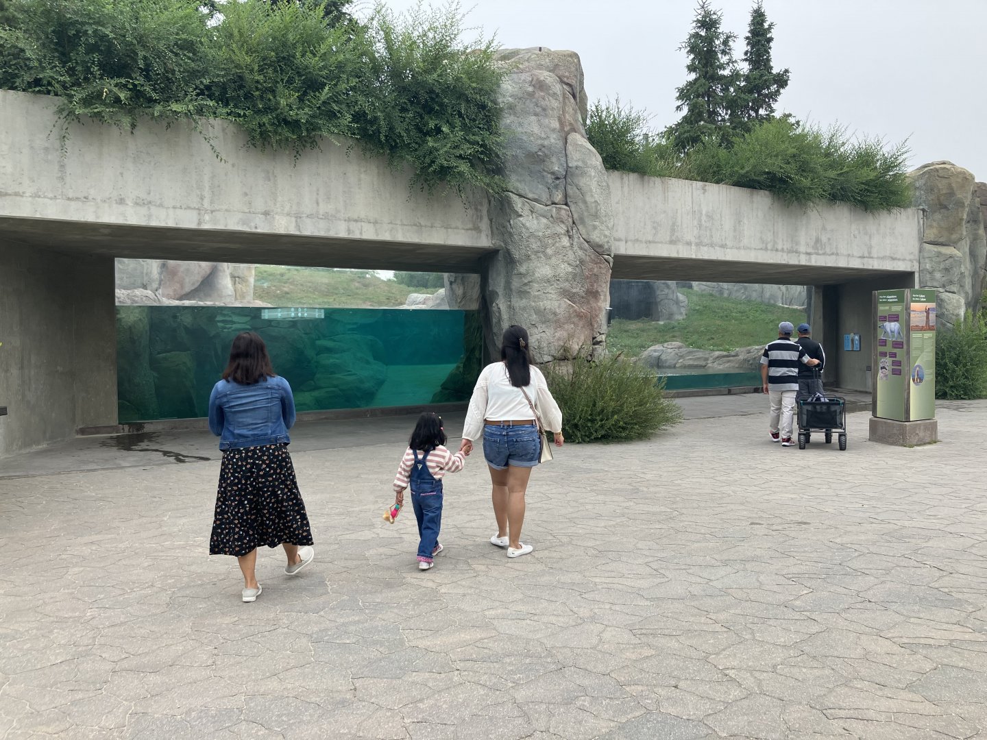 Journey to Churchill - Polar Bear Viewing
