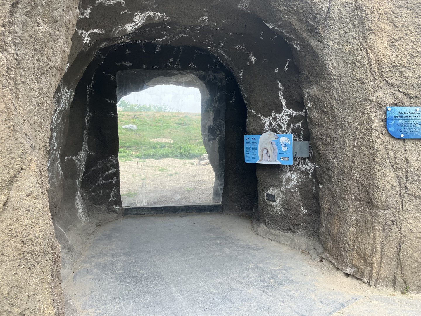 Journey to Churchill - Polar Bear Viewing