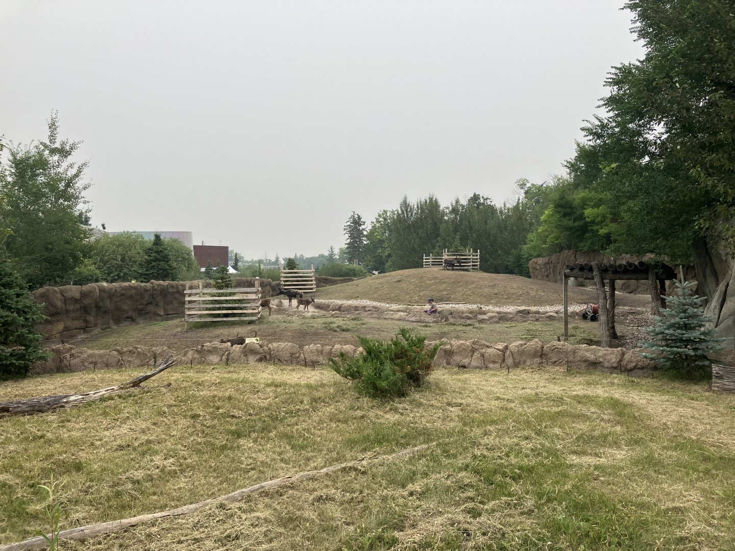 Journey to Churchill - Reindeer Exhibit