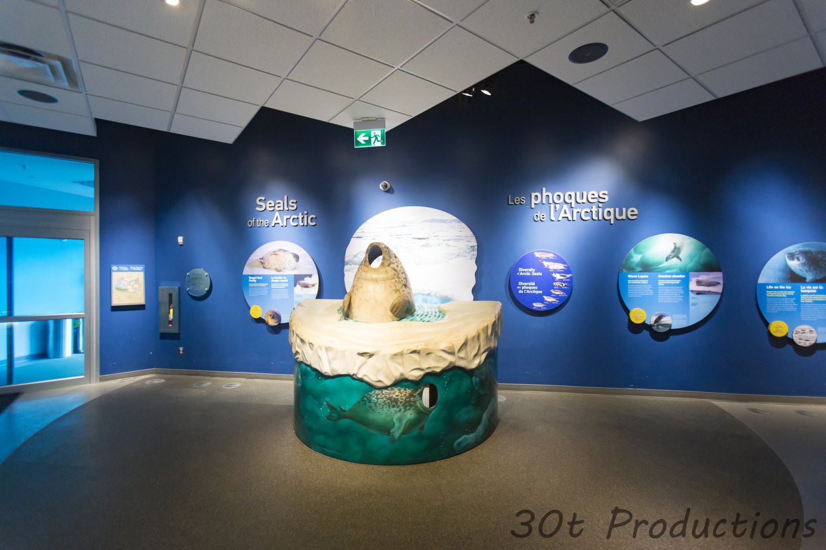 Journey to Churchill - Seals of the Arctic