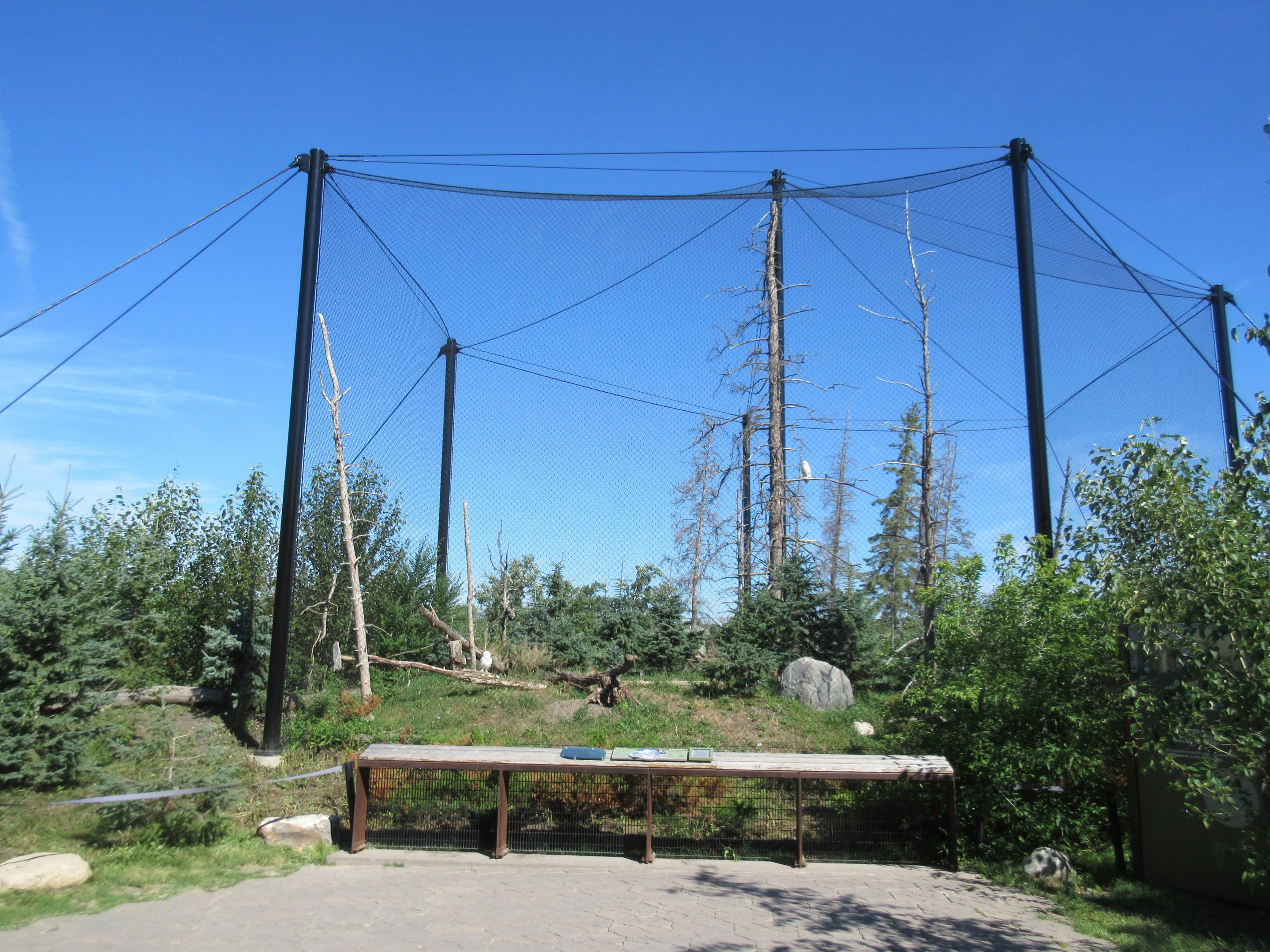Journey to Churchill - Snowy Owl Aviary (huge!)