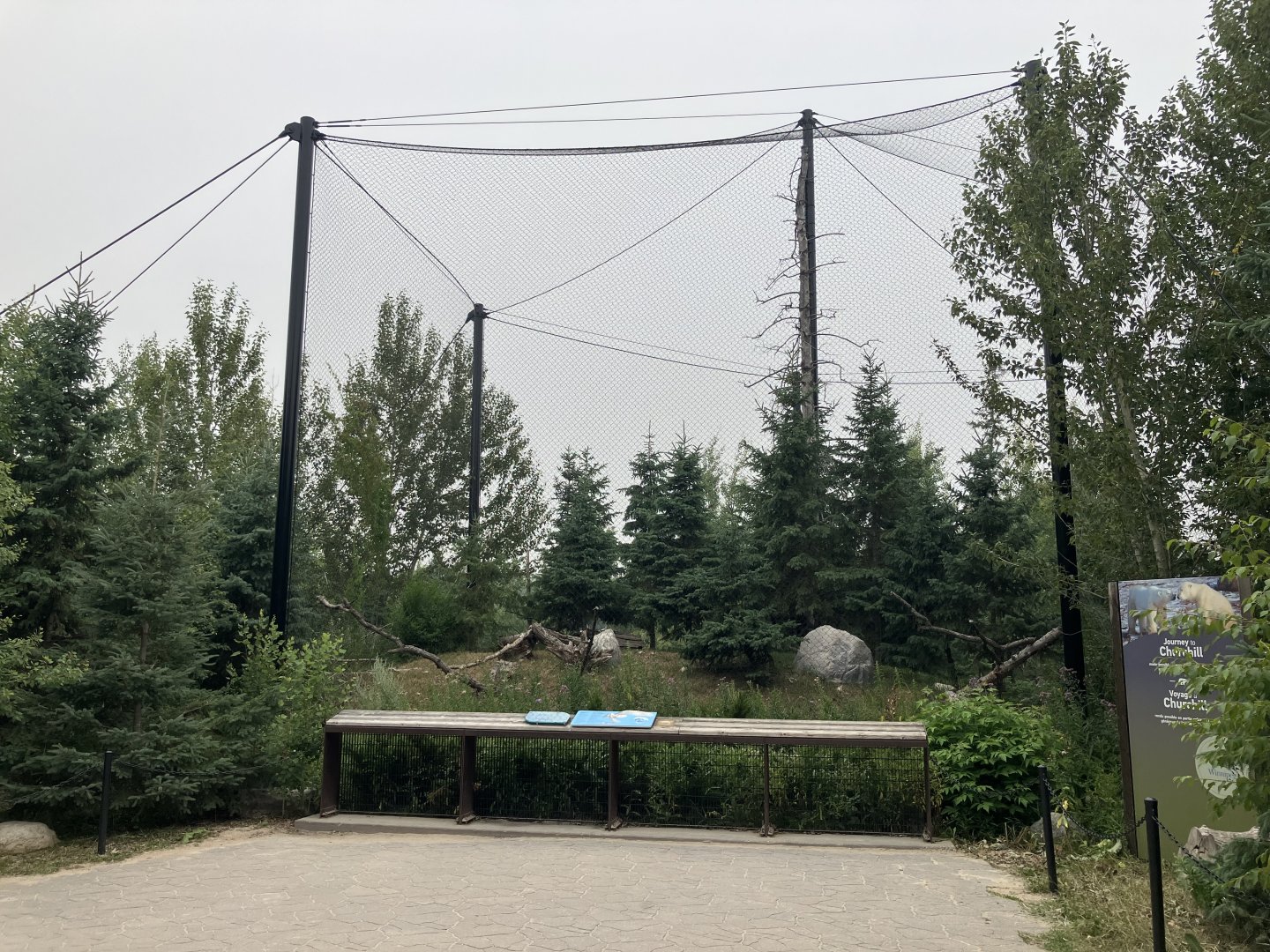 Journey to Churchill - Snowy Owl Aviary