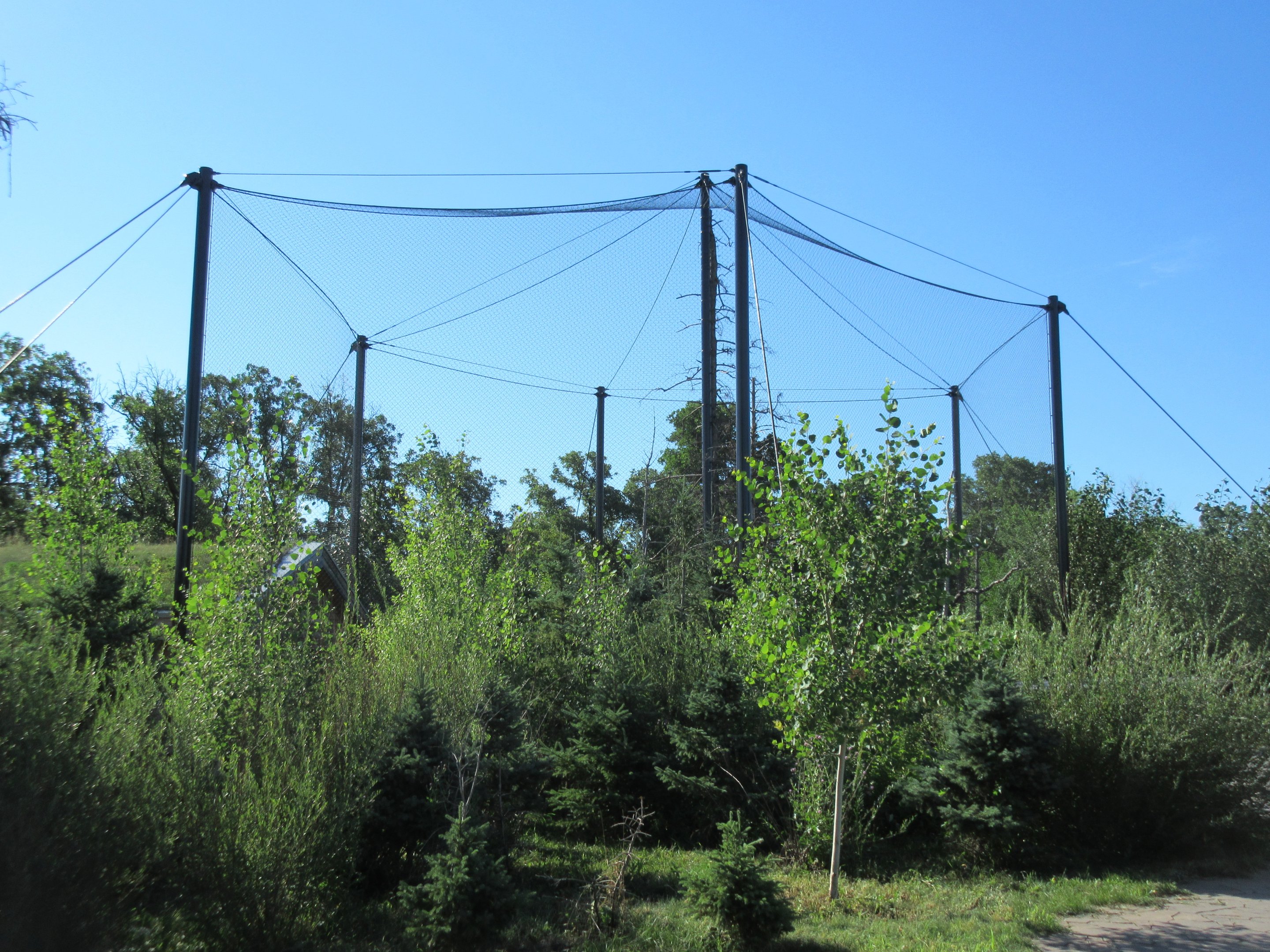 Journey to Churchill - Snowy Owl Exhibit