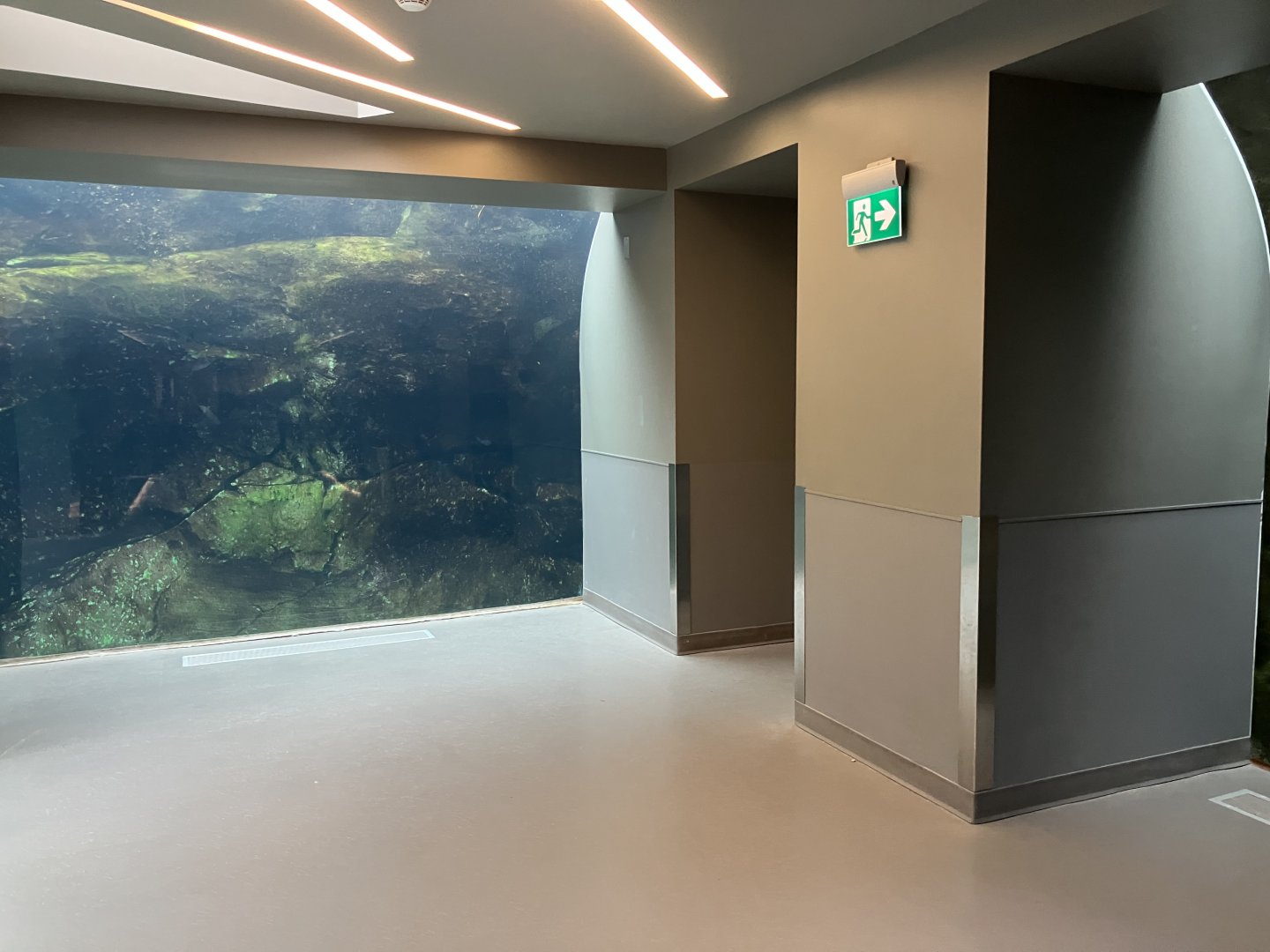 Journey to Churchill - Underwater Viewing