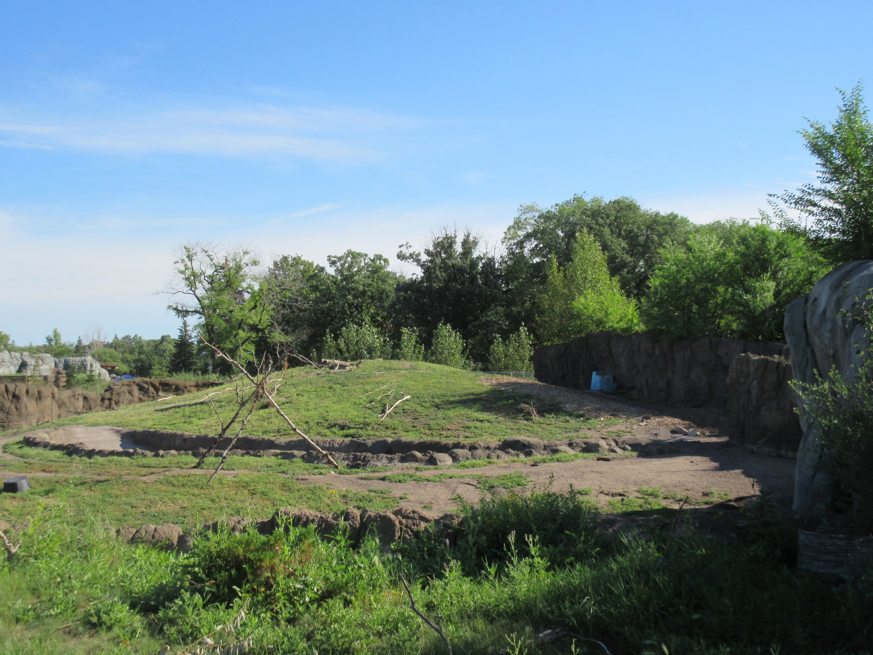 Journey to Churchill - Woodland Caribou Exhibit