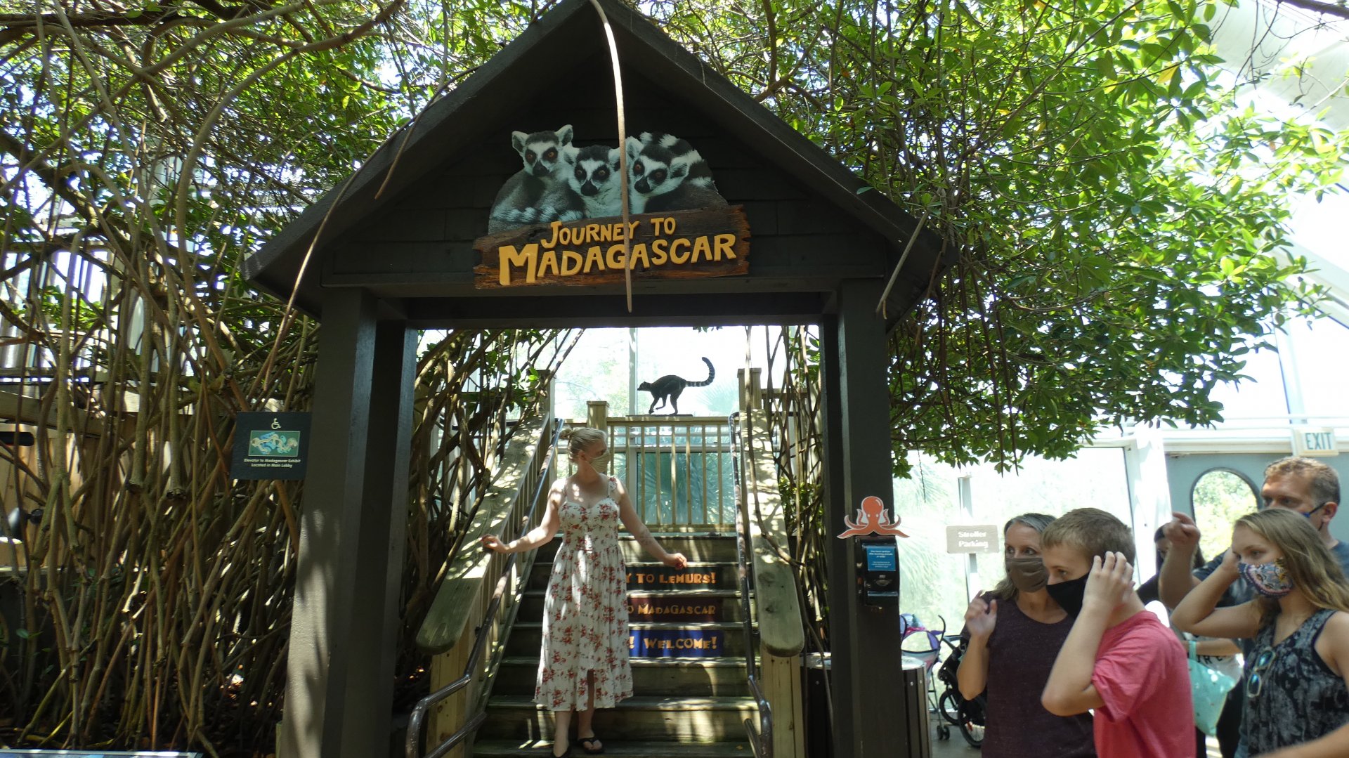 Journey To Madagascar - Aug. 2021