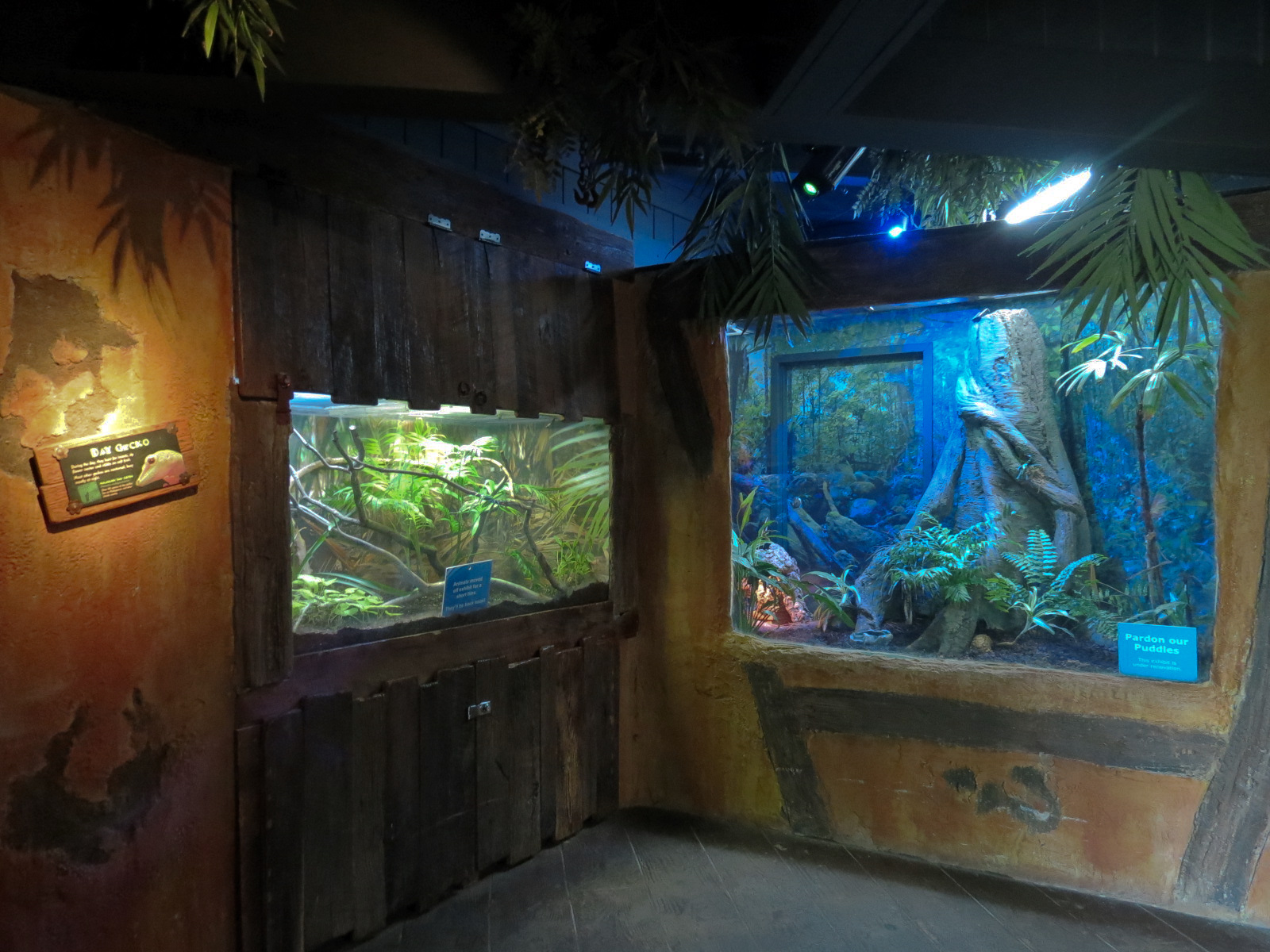 Journey To Madagascar - Chameleon and Gecko  Exhibits