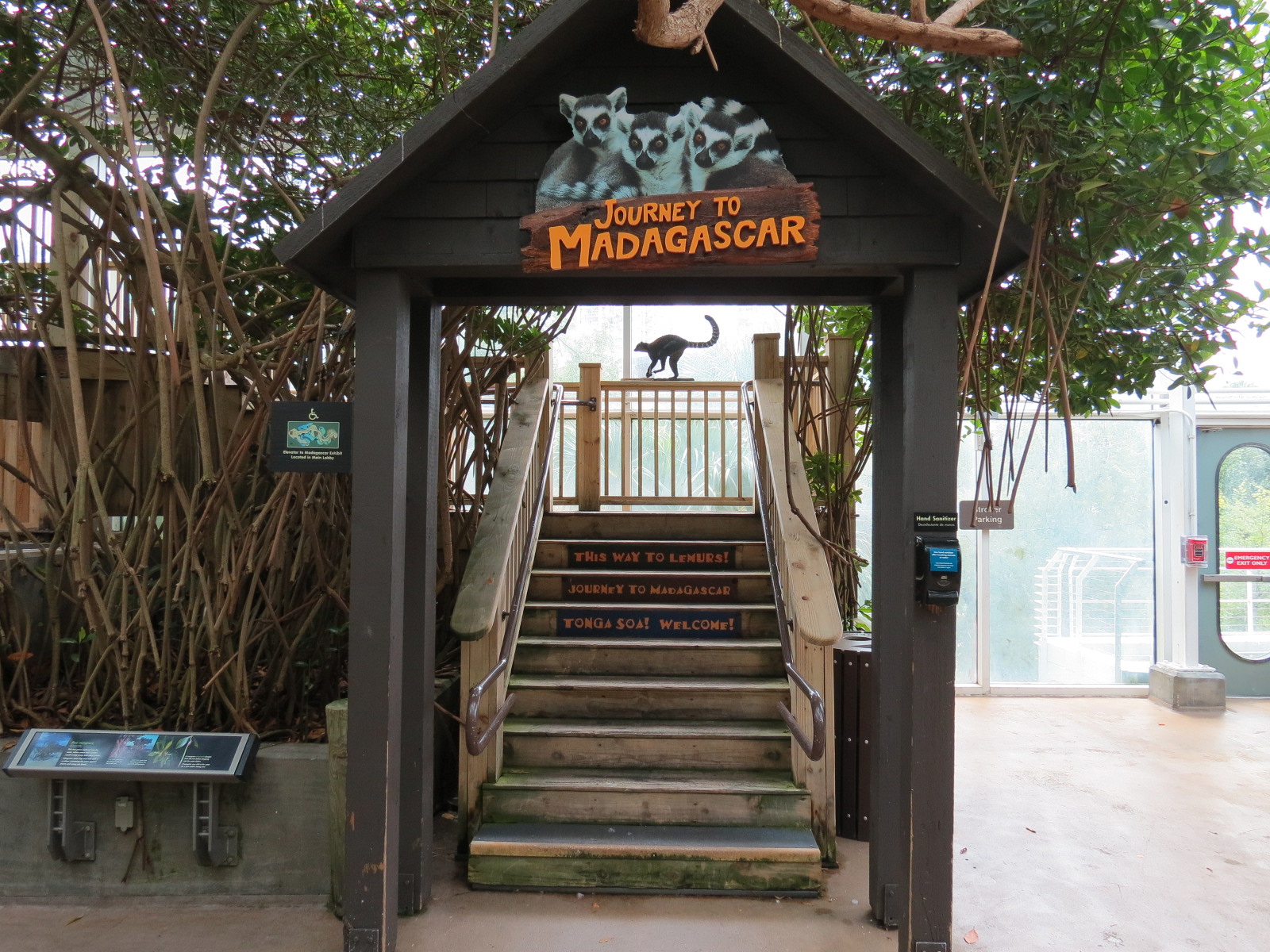 Journey To Madagascar - Entry