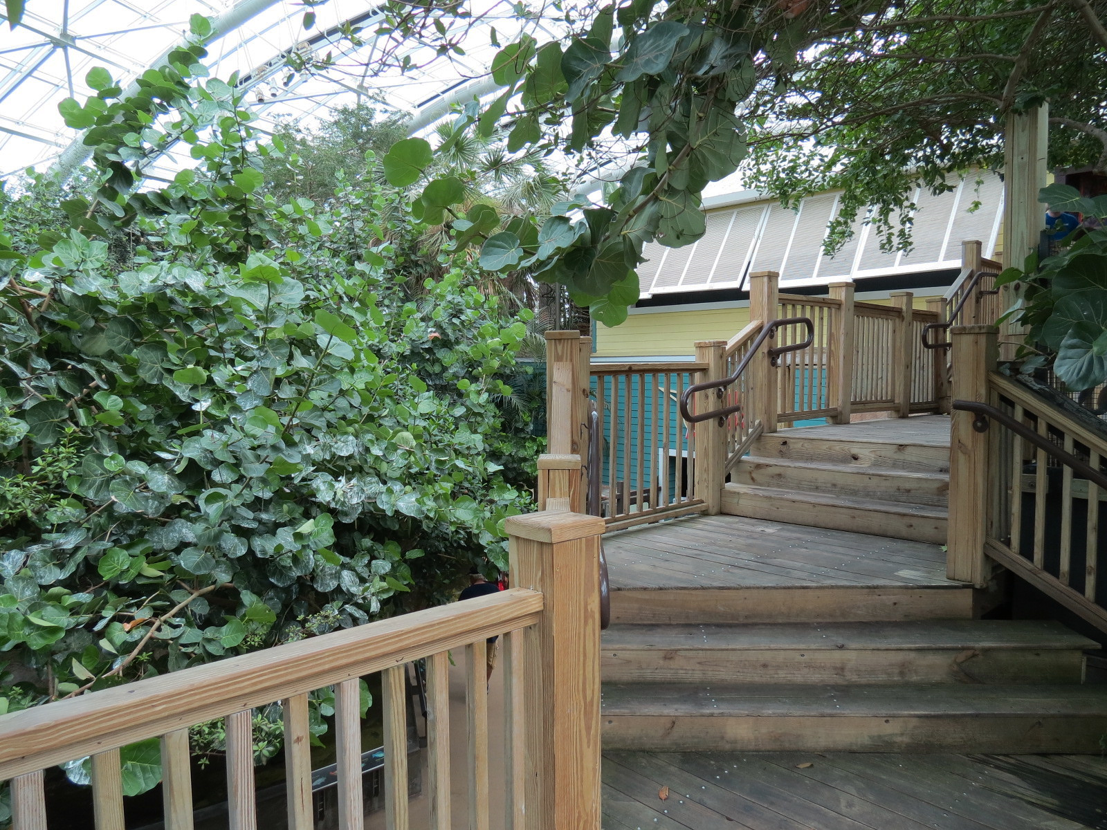 Journey To Madagascar - Entry